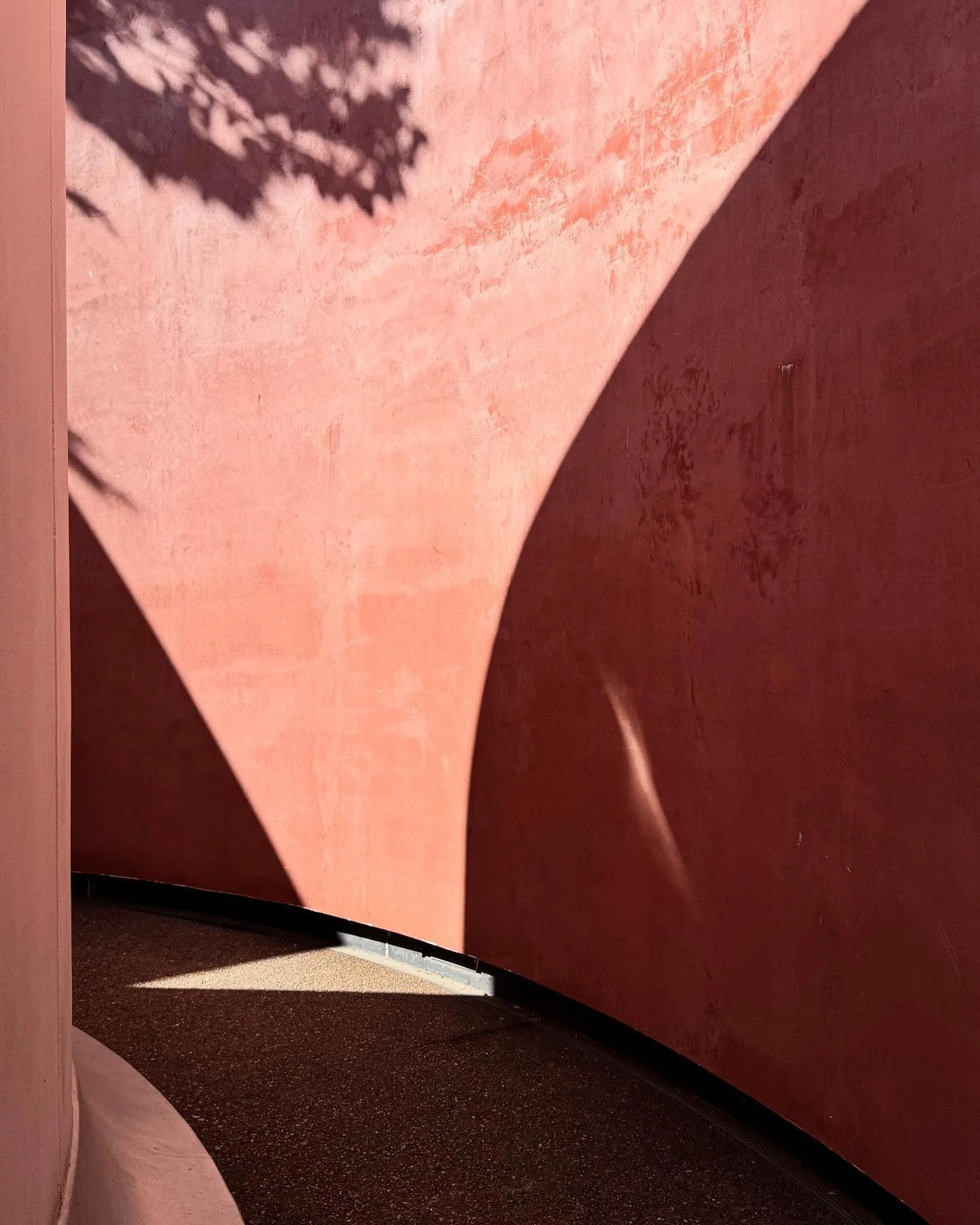 skyspace

#latergram #jamesturrell #threegems #lightandshadow #contemporaryart #publicart