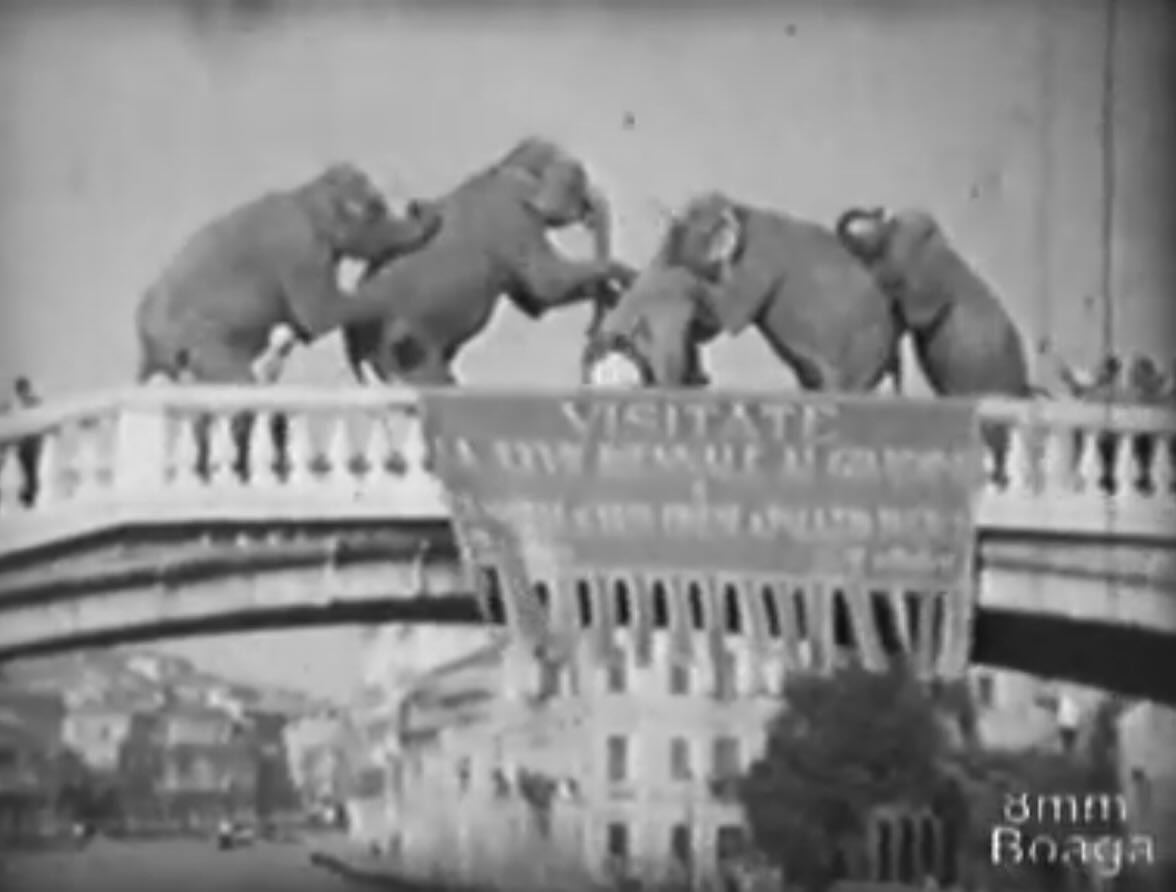 Elephants in Venice &mdash;
Amidst the tech and robots at @labiennale, @boonserm_premthada offers a moment of contemplation with the &ldquo;Elephant Chapel&rdquo;. A structure that brings the story and cultural importance of the elephant in Thailand 