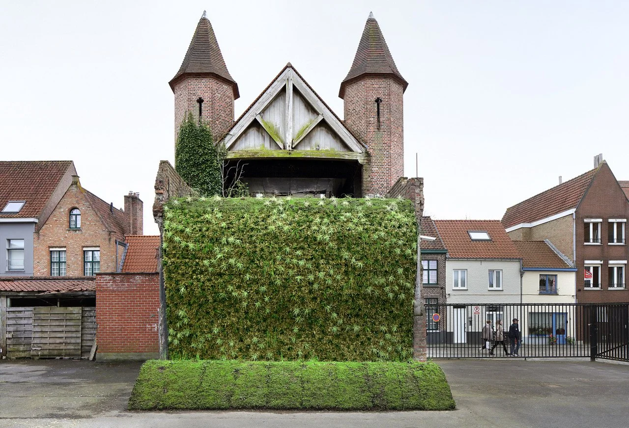 Under the Carpet, Adrien Tirtiaux, Bruges Triennial 2024 © Filip Dujardin