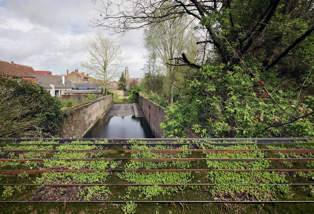 Under the Carpet, Adrien Tirtiaux, Bruges Triennial 2024 © Filip Dujardin.jpeg