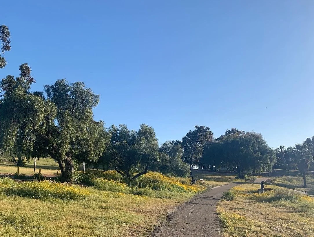 A park with a dirt path, green grass, trees, and a person sitting on a bench under the trees on a sunny day.