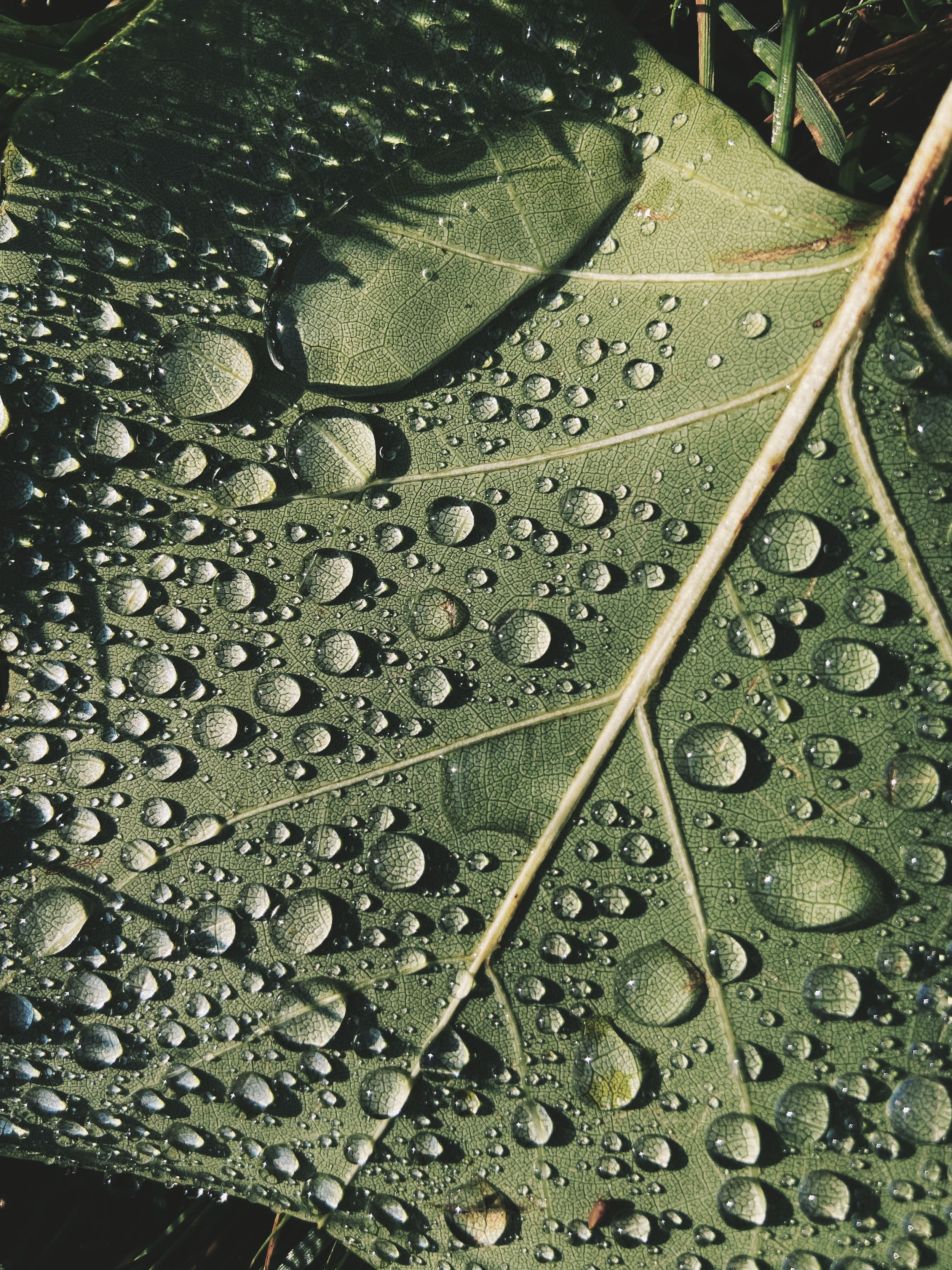IMG_0640_VSCO.png