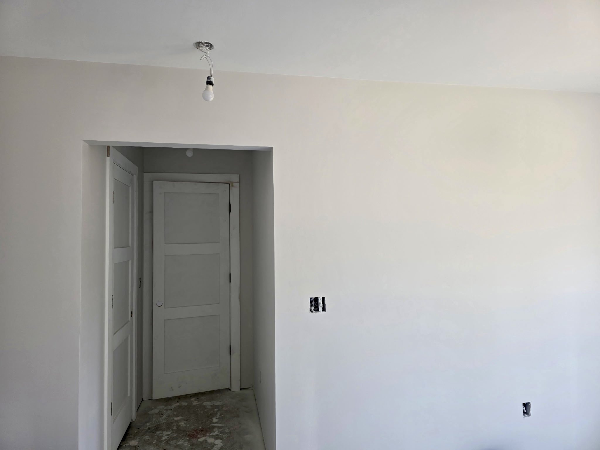 1000038306.jpg