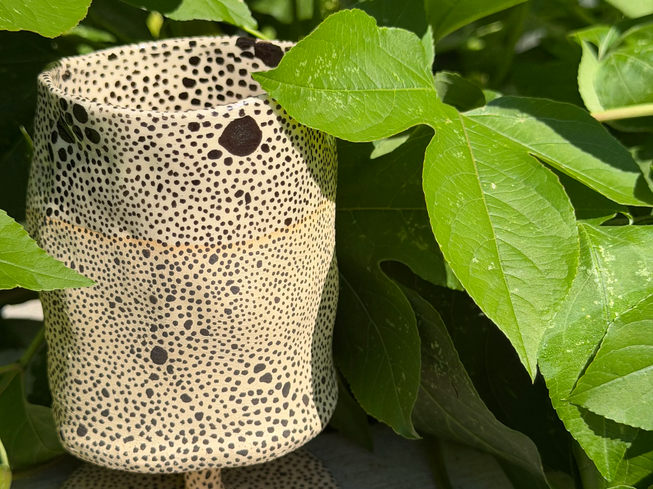 dot+goblet+4+.png