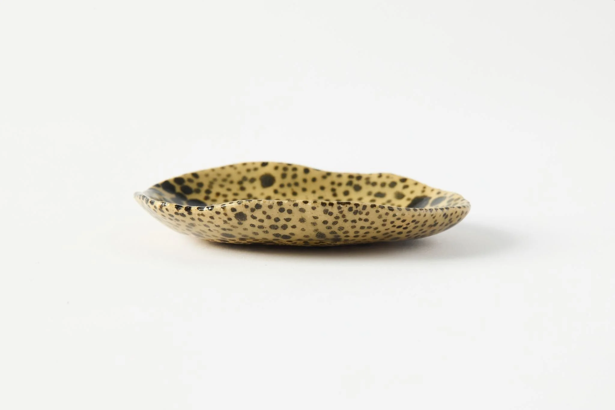 Cara ceramics June 5771.jpg