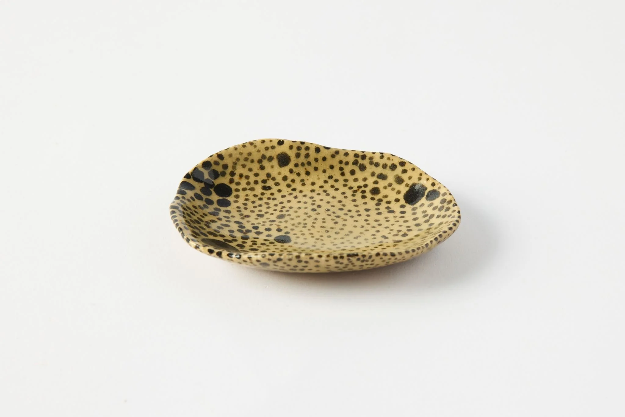 Cara ceramics June 5770.jpg