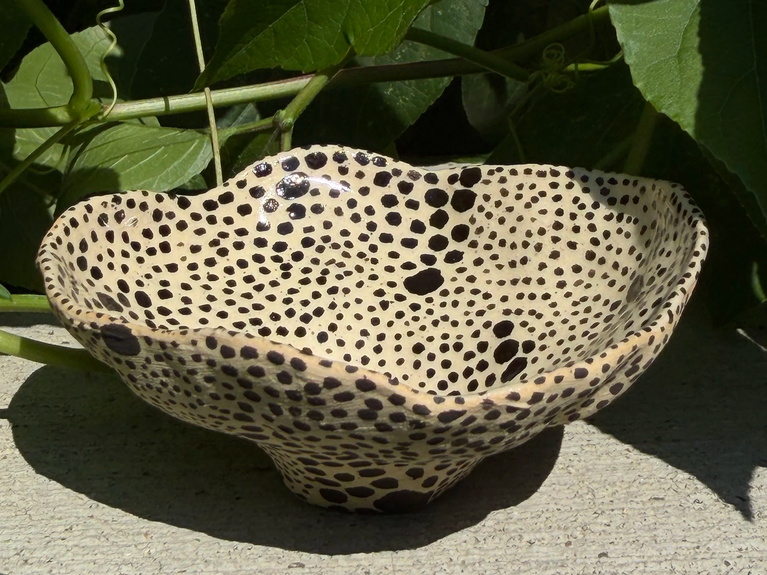 dot+tiny+bowl+1.png