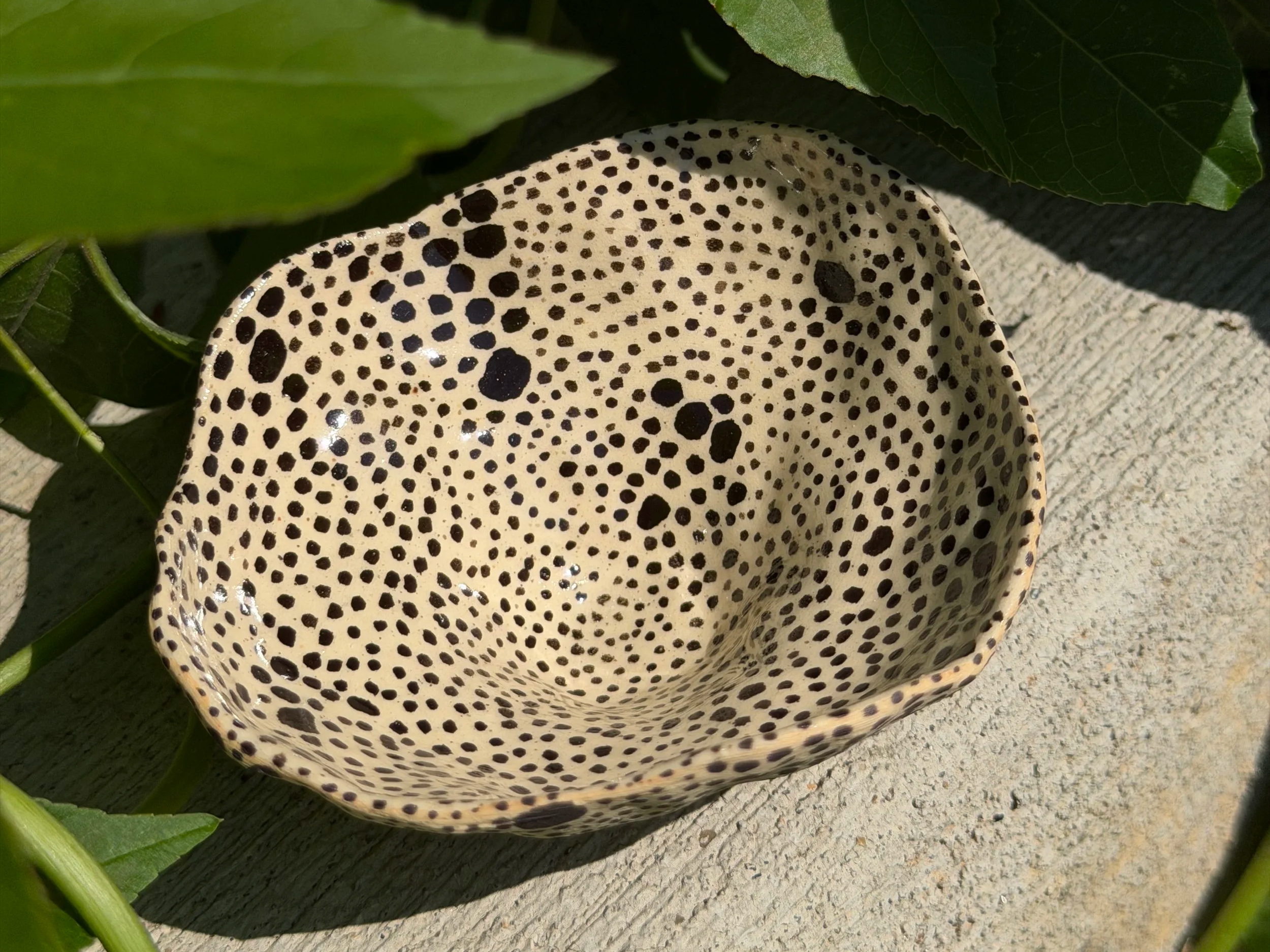dot+tiny+bowl+5.png