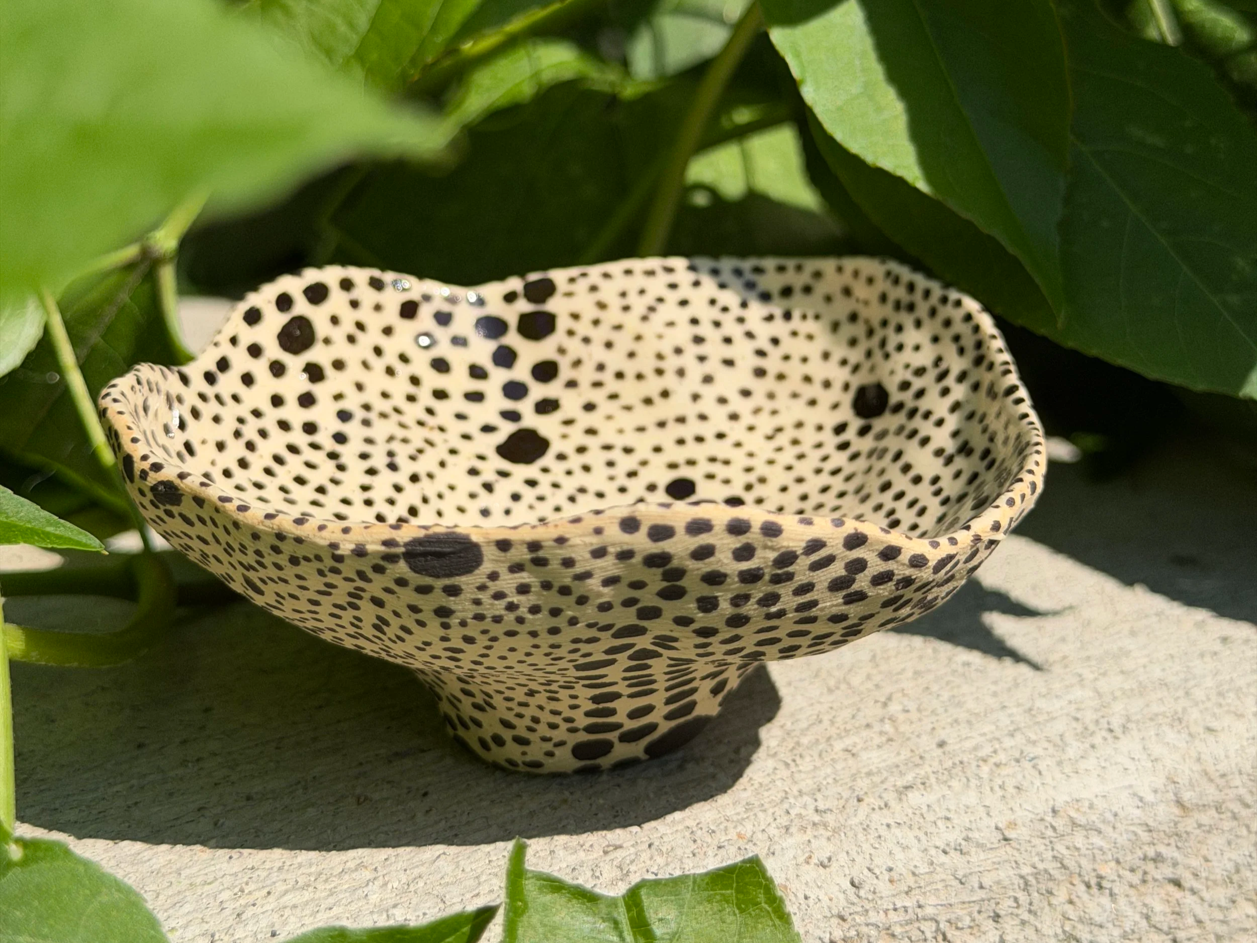 dot+tiny+bowl+4.png