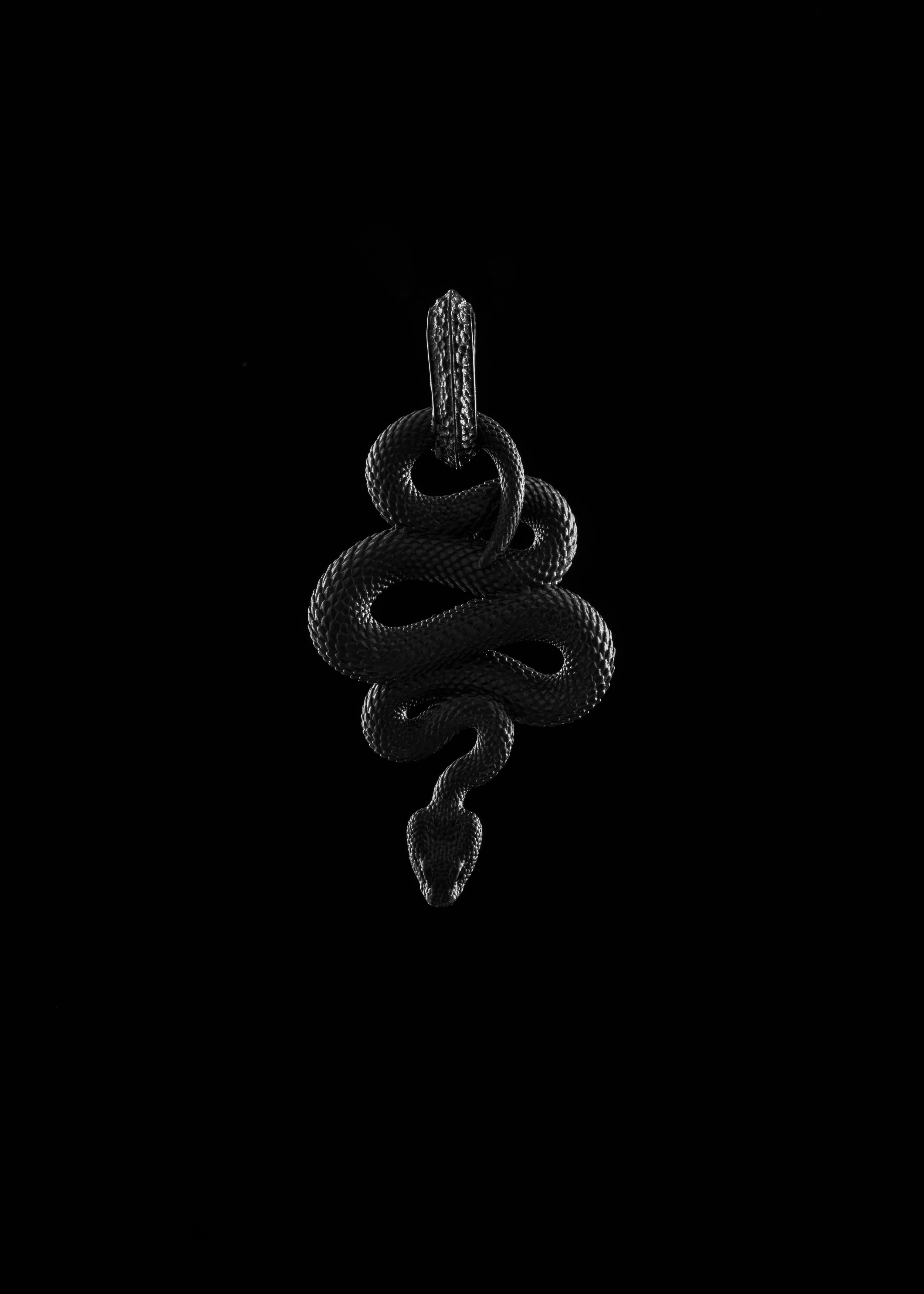A black snake coiled with its head up against a black background.