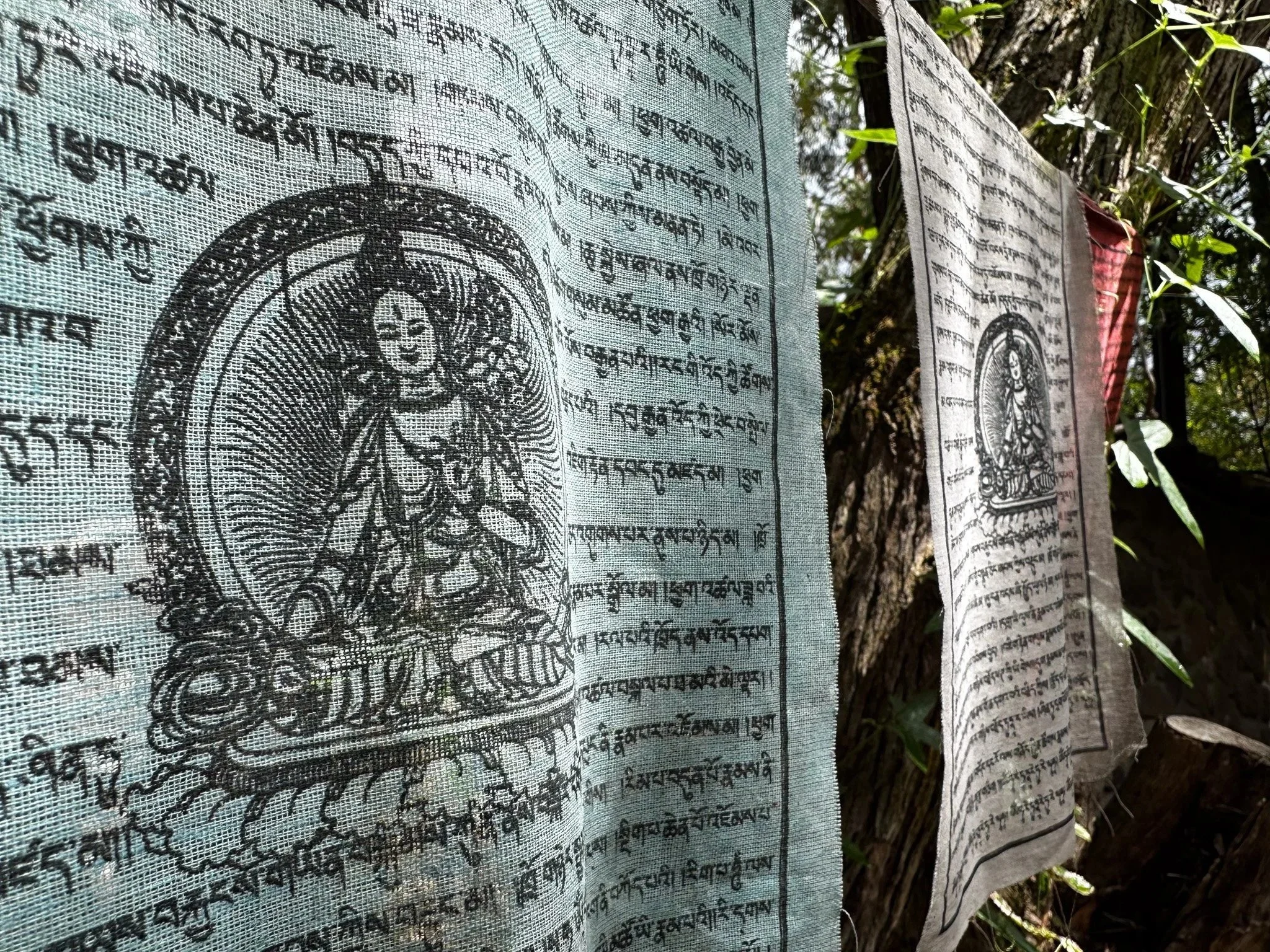 Banners with text written in an Asian script hanging on a tree branch outdoors.