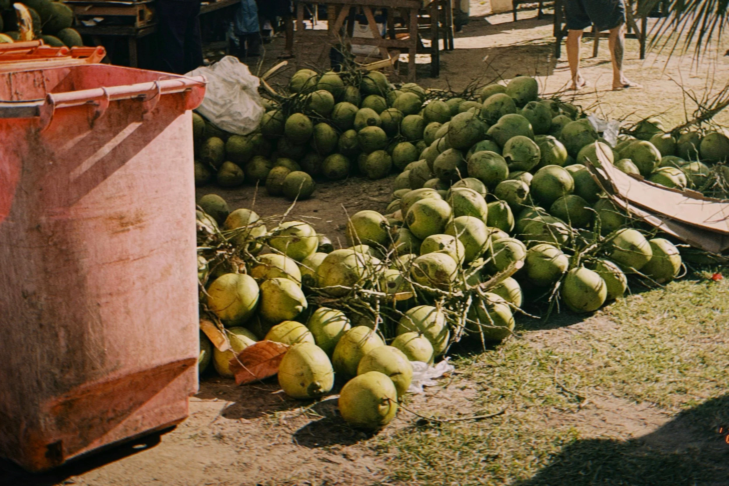 WhatsApp Image 2025-07-13 at 23.19.49 (1).jpeg