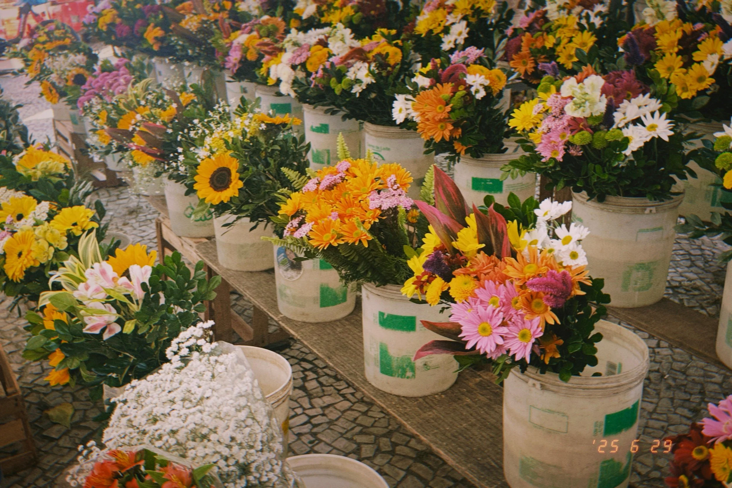 WhatsApp Image 2025-07-13 at 23.19.49 (3).jpeg