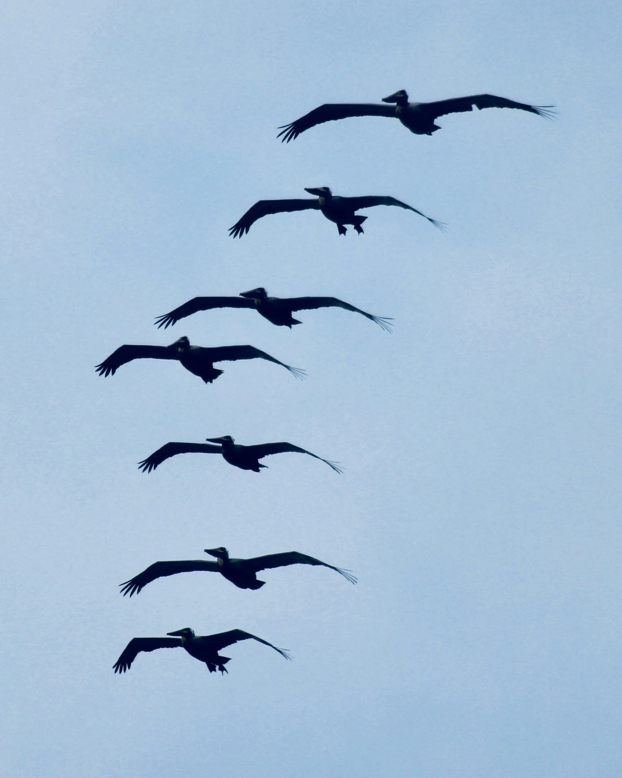 Leadership Isn’t Telling People What to Do — It’s How You Show Up