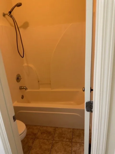 Hall bathroom shower