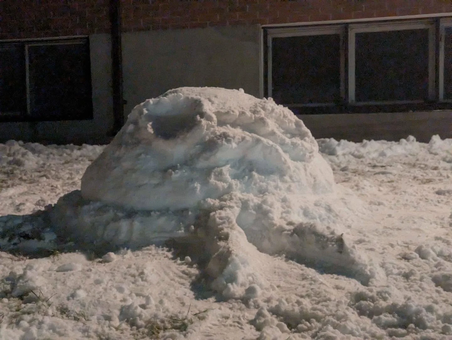 Neigot, le fr&egrave;re de neige &agrave; Pierrot est n&eacute; aujourd&rsquo;hui (et mort)