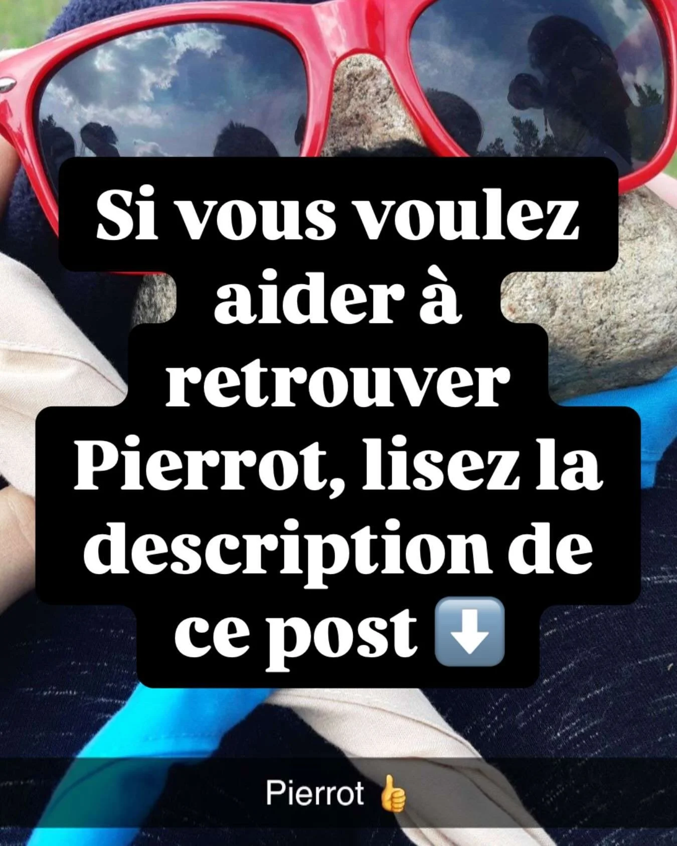 La mission RPR a officiellement commenc&eacute;. 

Si vous &ecirc;tes int&eacute;ress&eacute;s &agrave; faire une recherche plus en d&eacute;tails pour retrouver Pierrot et Rochelle, envoyez moi un dm et je vais vous ajouter &agrave; un group chat d&