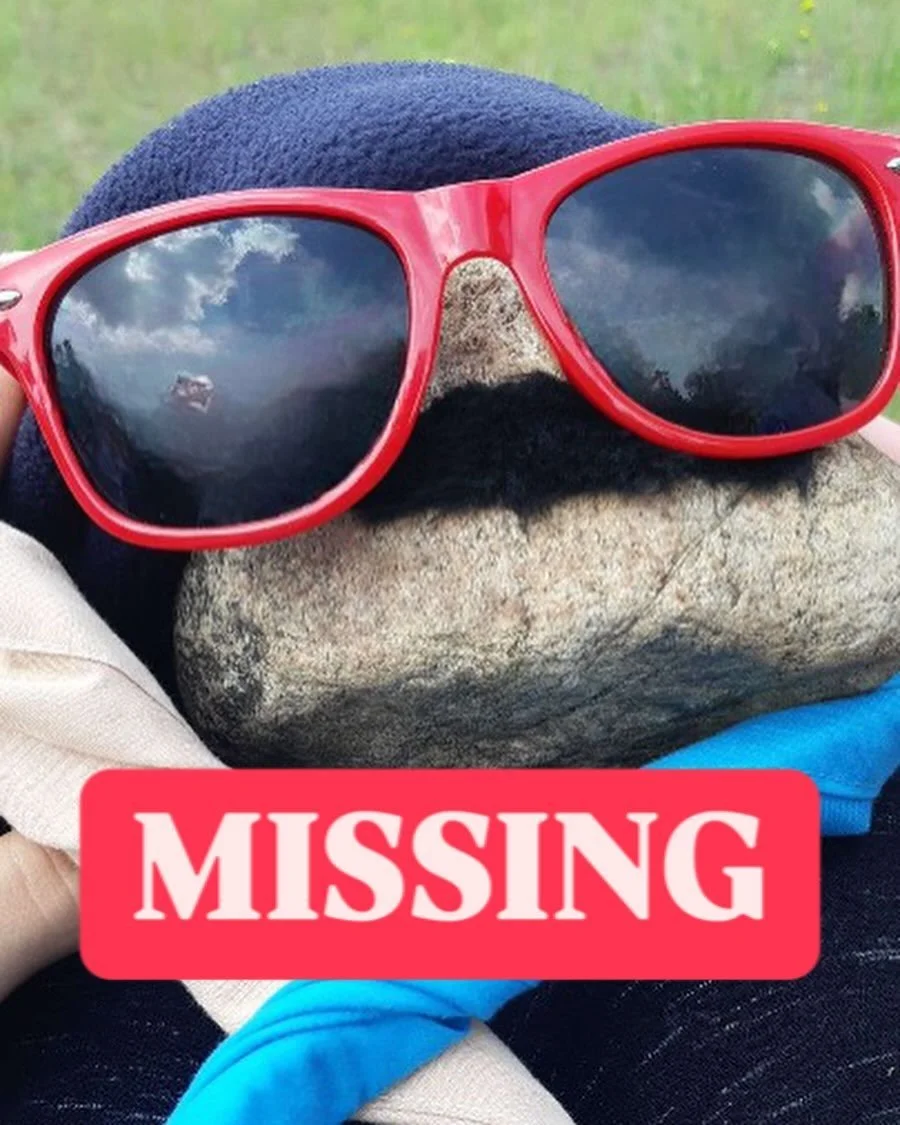 Pierrot et Rochelle ont disparu&hellip;

La derni&egrave;re place o&ugrave; nous les avons vu sont au camp Awakamenj Mino dans cette petite for&ecirc;t.
Nous avons cherch&eacute; pendant tr&egrave;s longtemps mais sans succ&egrave;s. Si vous avez un 