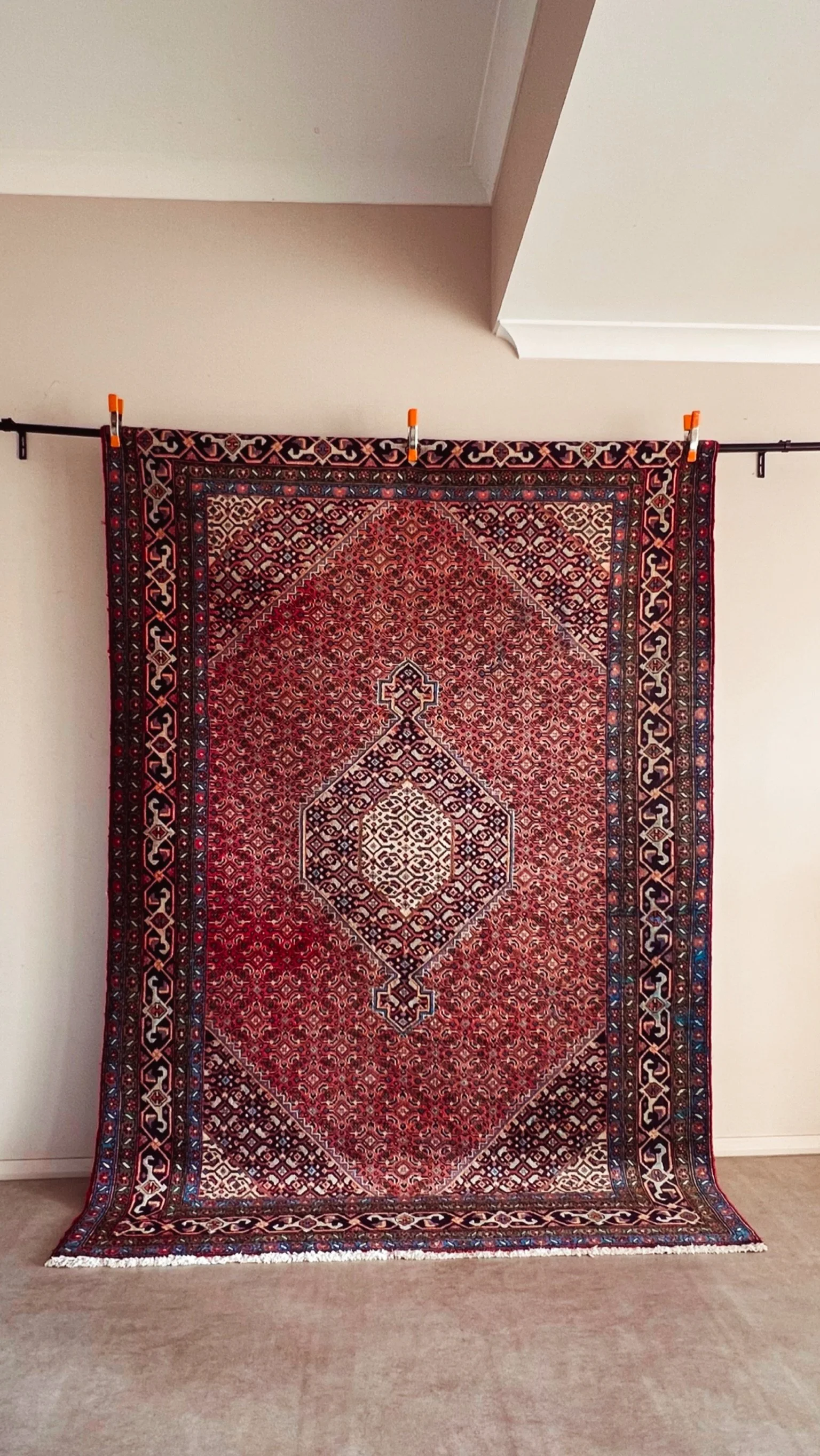 IMG_2918_COLOURTONE 2.JPG