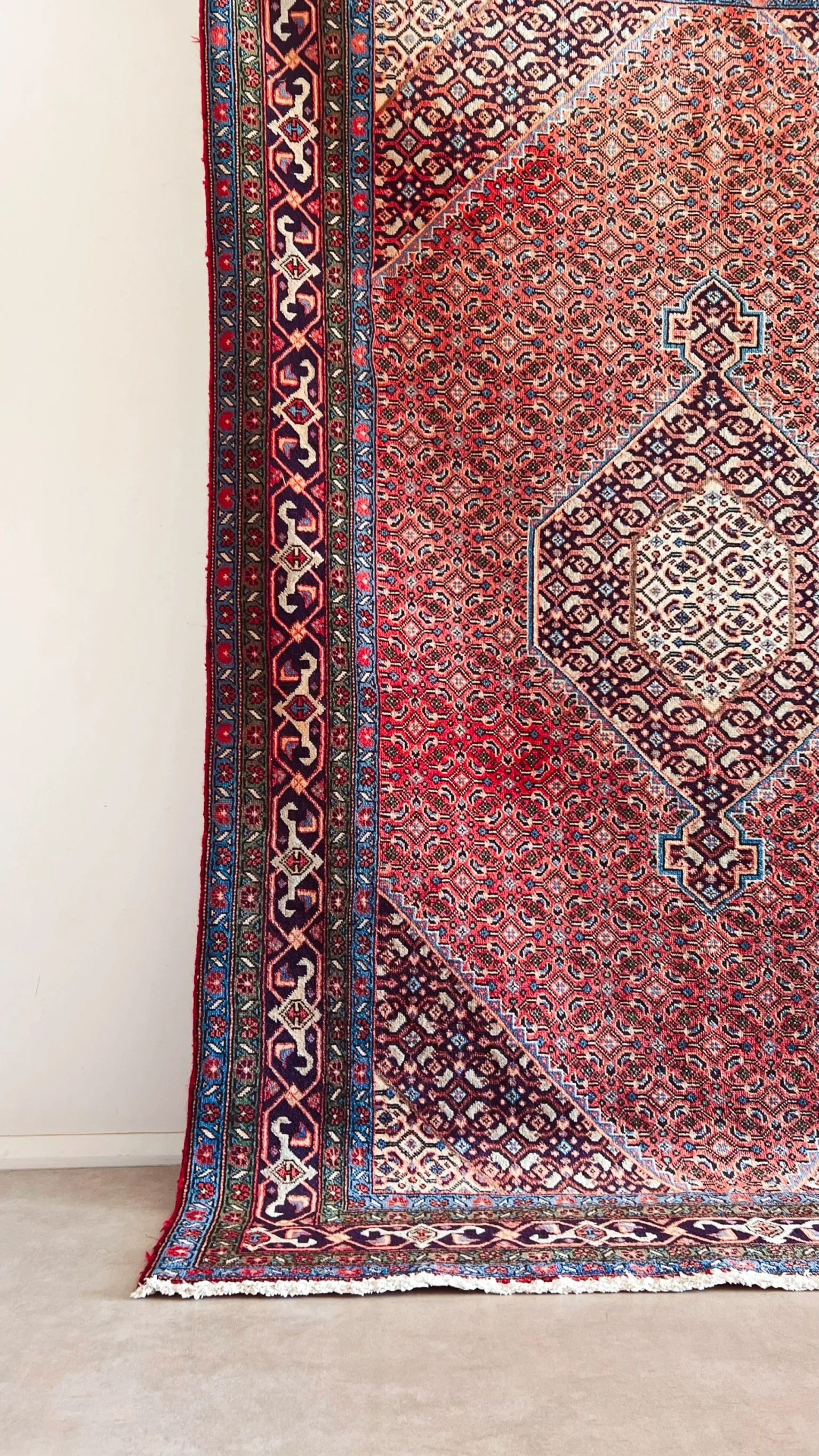 IMG_2906_COLOURTONE 2.JPG