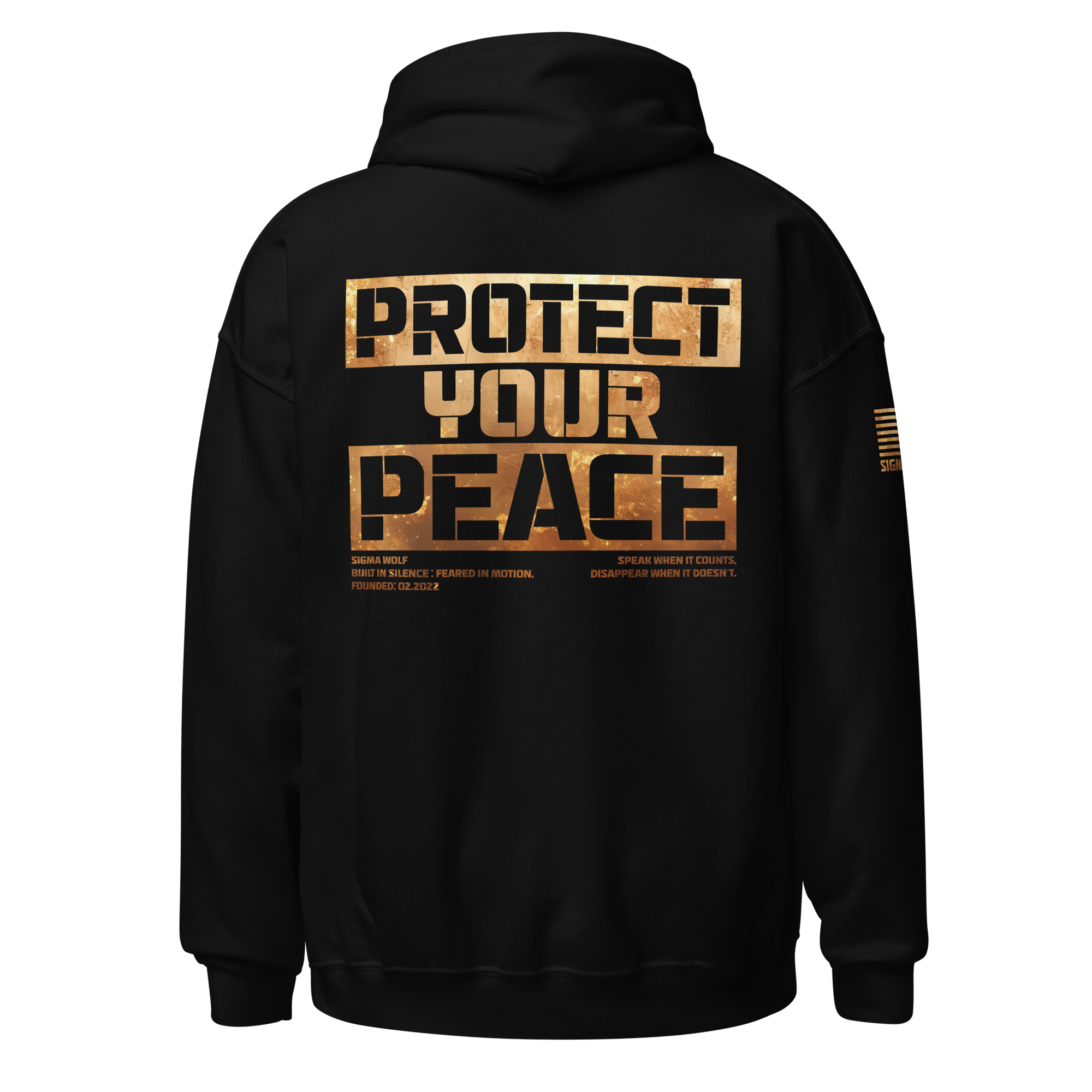 unisex-heavy-blend-hoodie-black-back-697d4c2e9b4e0.png