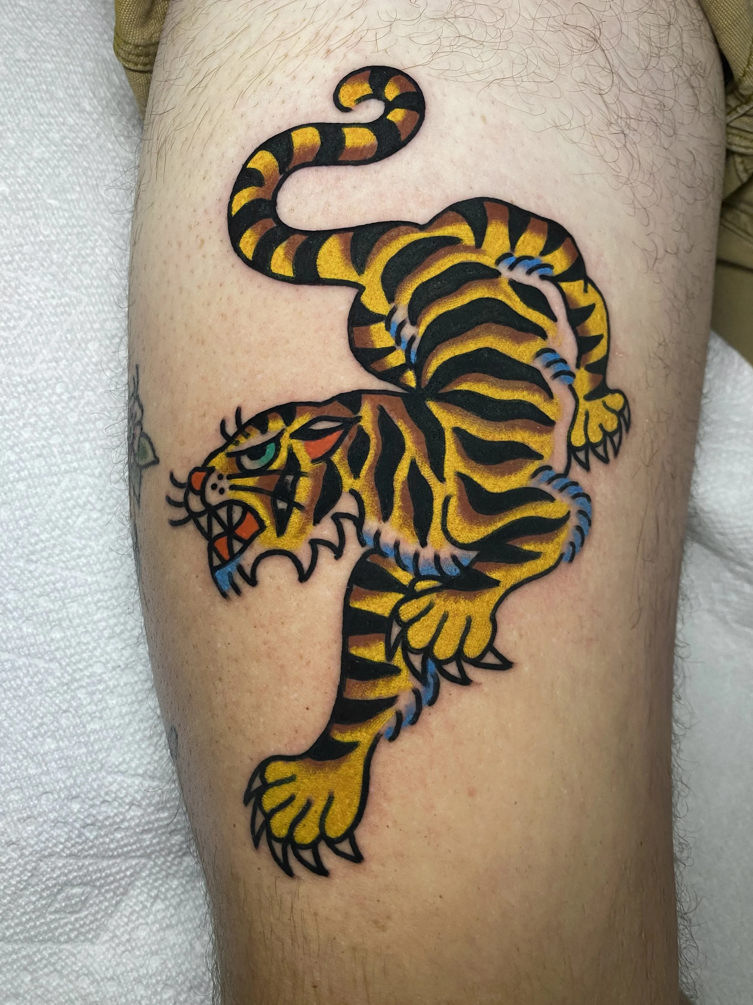 Traditional tiger tattoo by Sonny Roth, Portland Maine