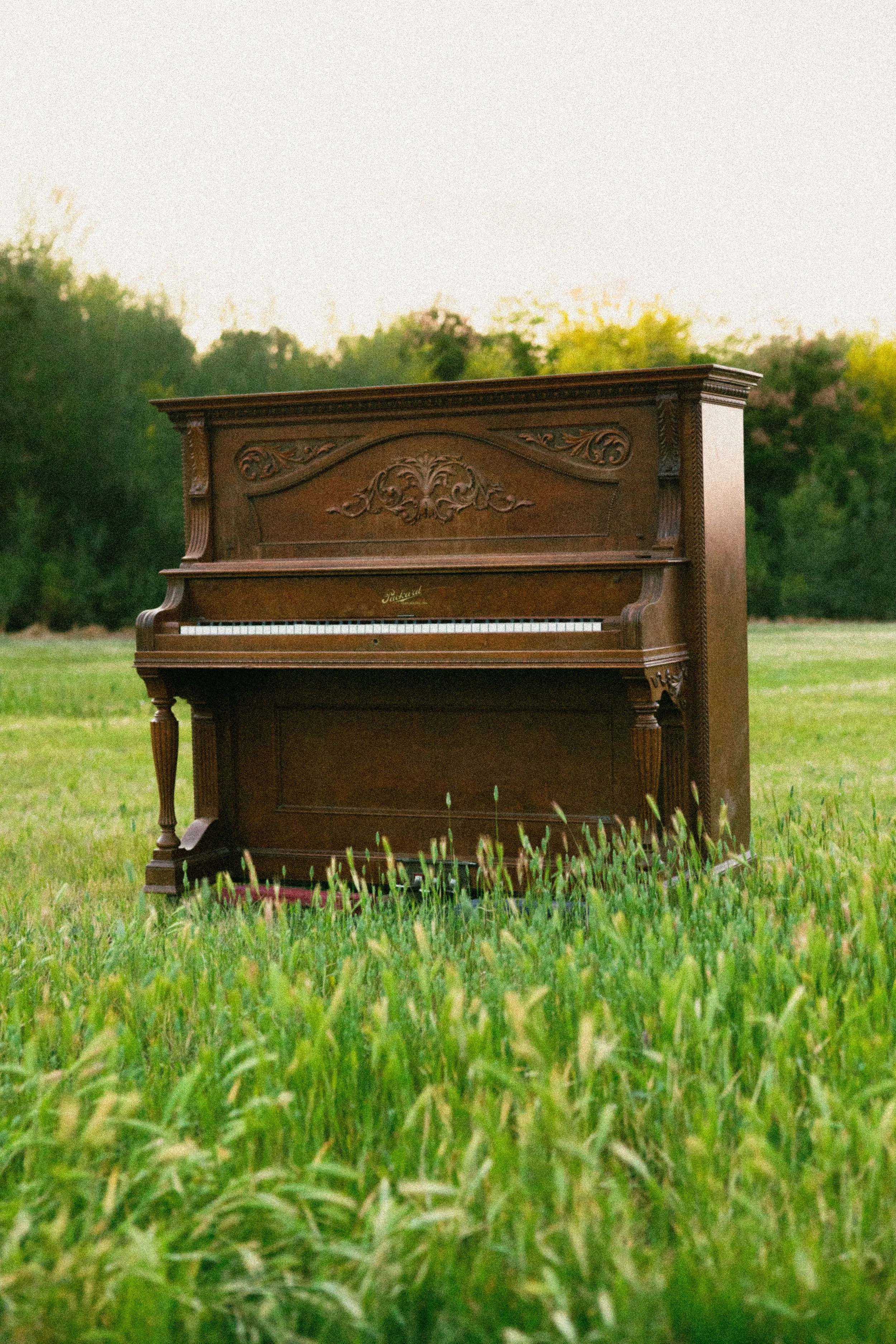 easter at rock point | branding