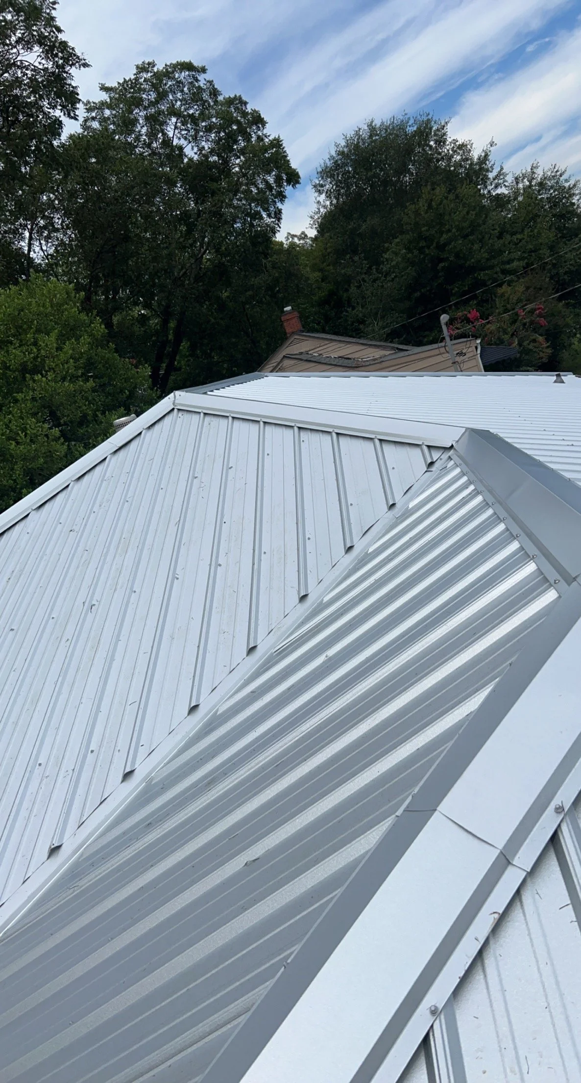 Metal roof panels on a residential building, with trees and a partly cloudy sky in the background.