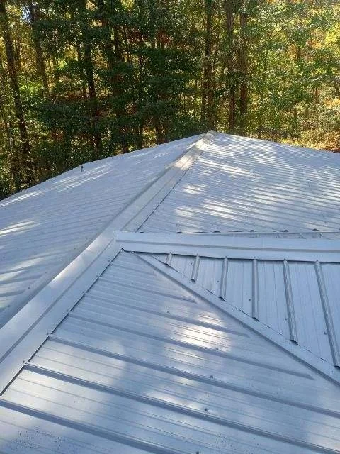 Silver metal roof on a building with trees in the background