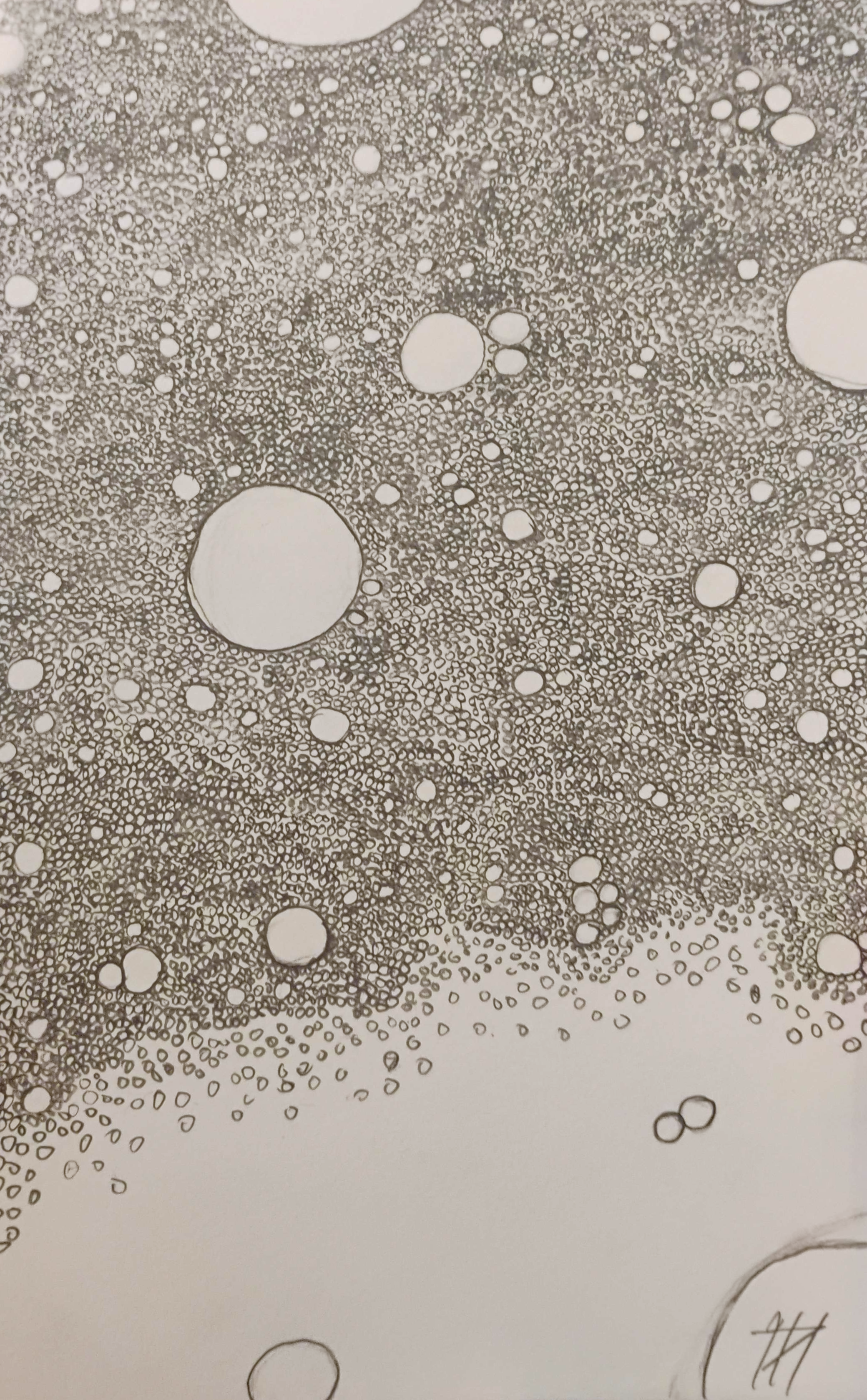 So I was bored at work a while ago, and I didn't know what to draw. On a whim, I drew a circle. Then another one. Then another, and another and another. Though it took about 8 hours, the effect is mesmerizing.