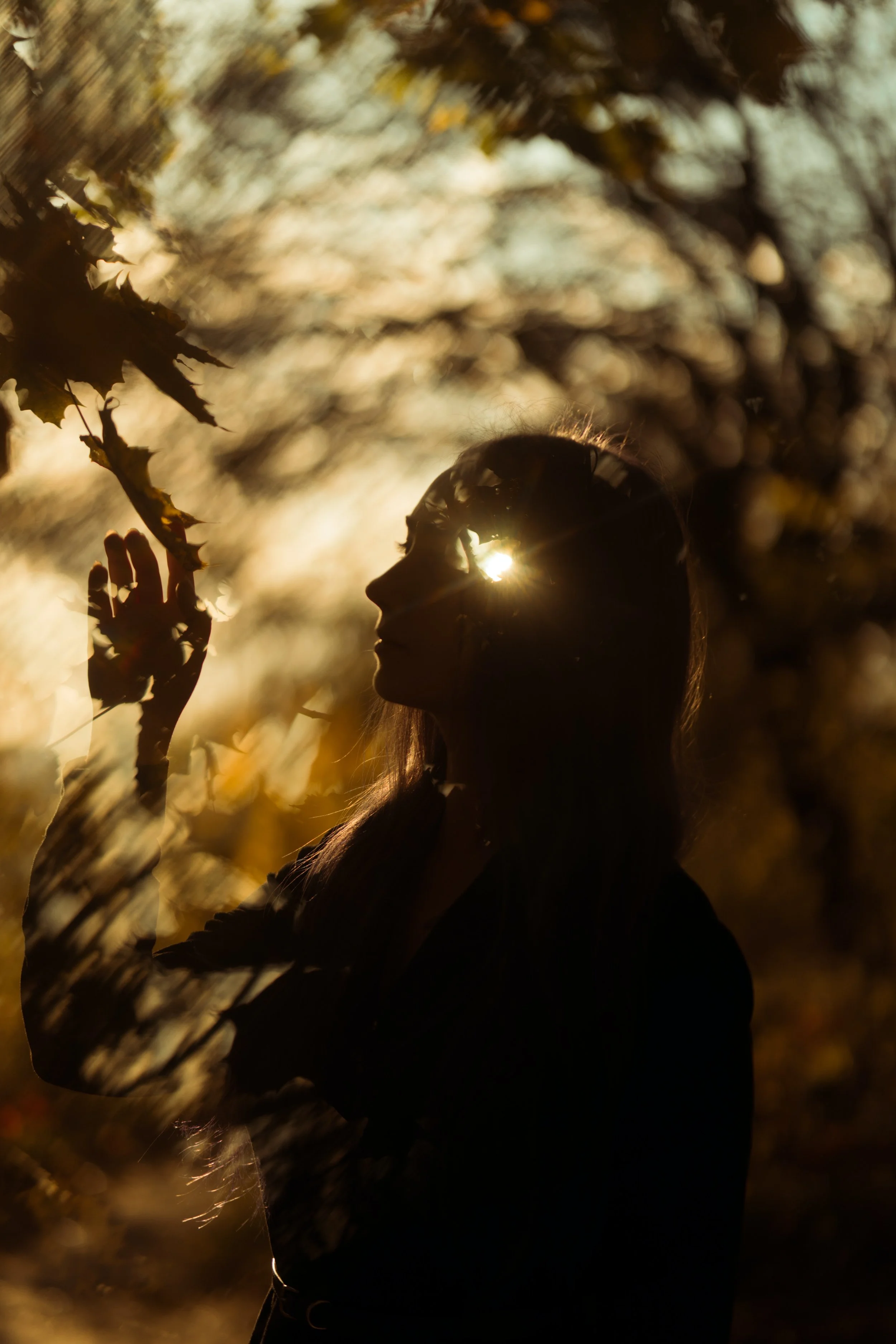 Silhouette of a woman standing among autumn trees with sunlight shining through, creating a warm, golden glow.