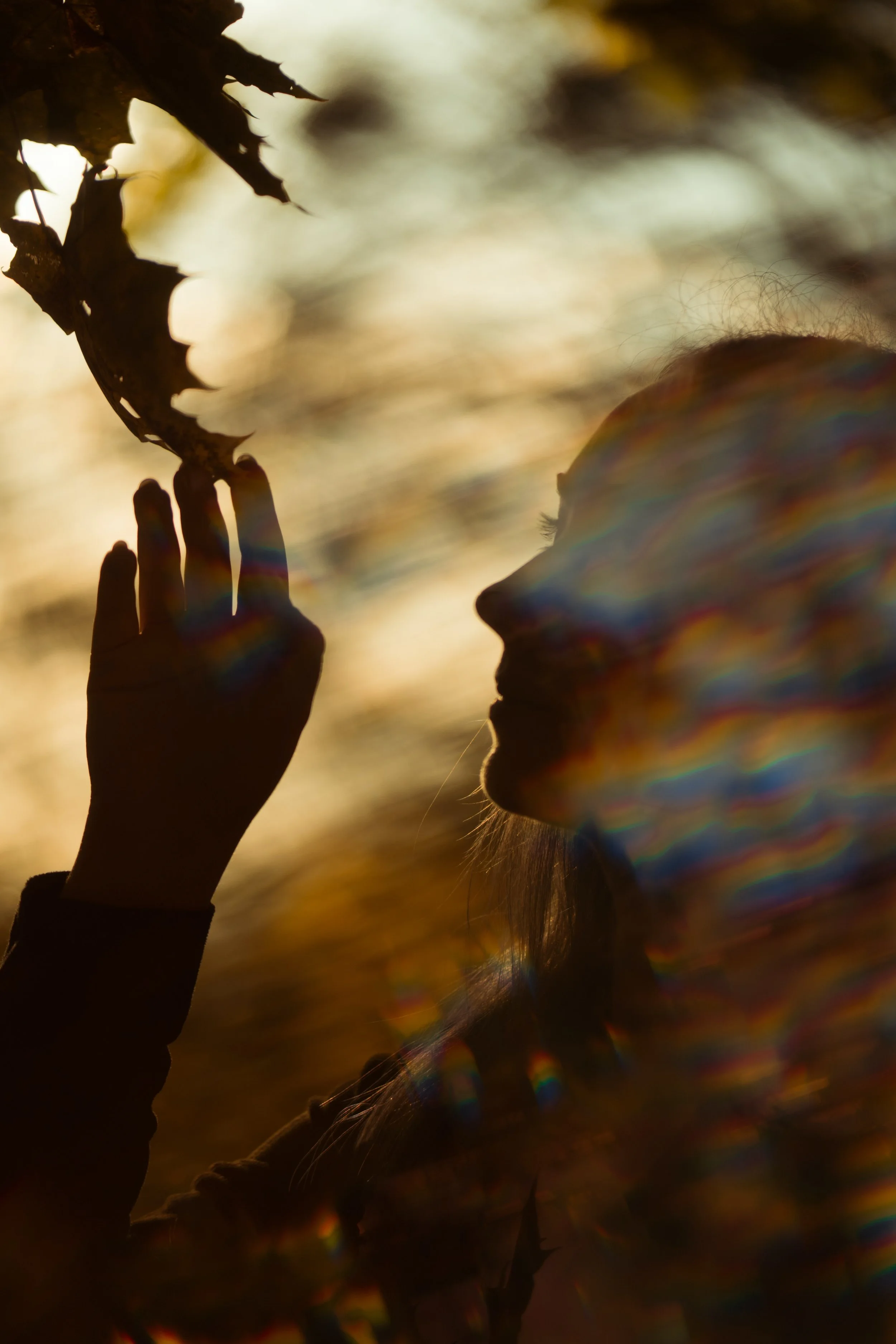 Silhouette of a woman with long hair touching or observing a plant or leaf against a golden, blurry outdoor background, with rainbow-like light diffraction effects.
