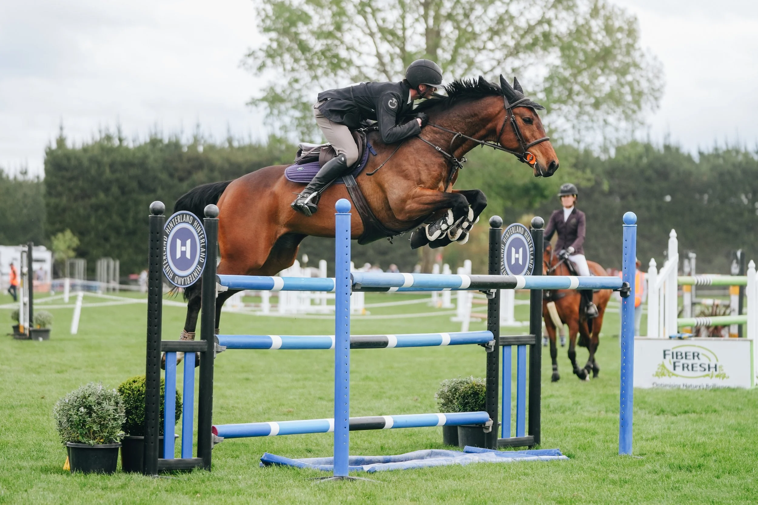 Labour Weekend Show Jumping Carnival