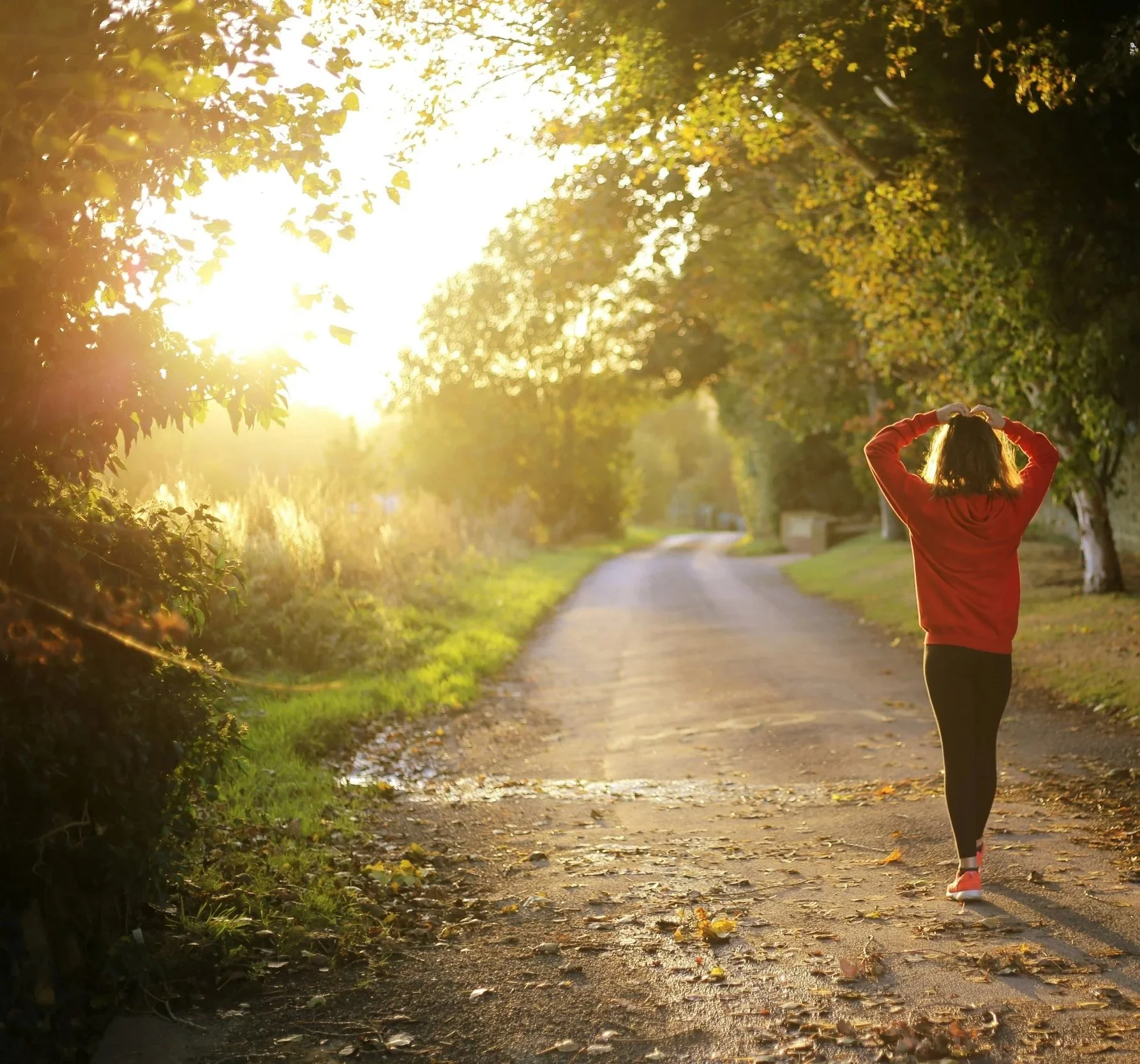 A person walking on a dirt path lined with trees, during sunset, with sunlight shining through the leaves.