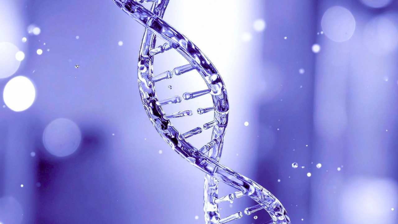 Why MTHFR Testing Isn't Enough: Understanding the Full Methylation Pathway