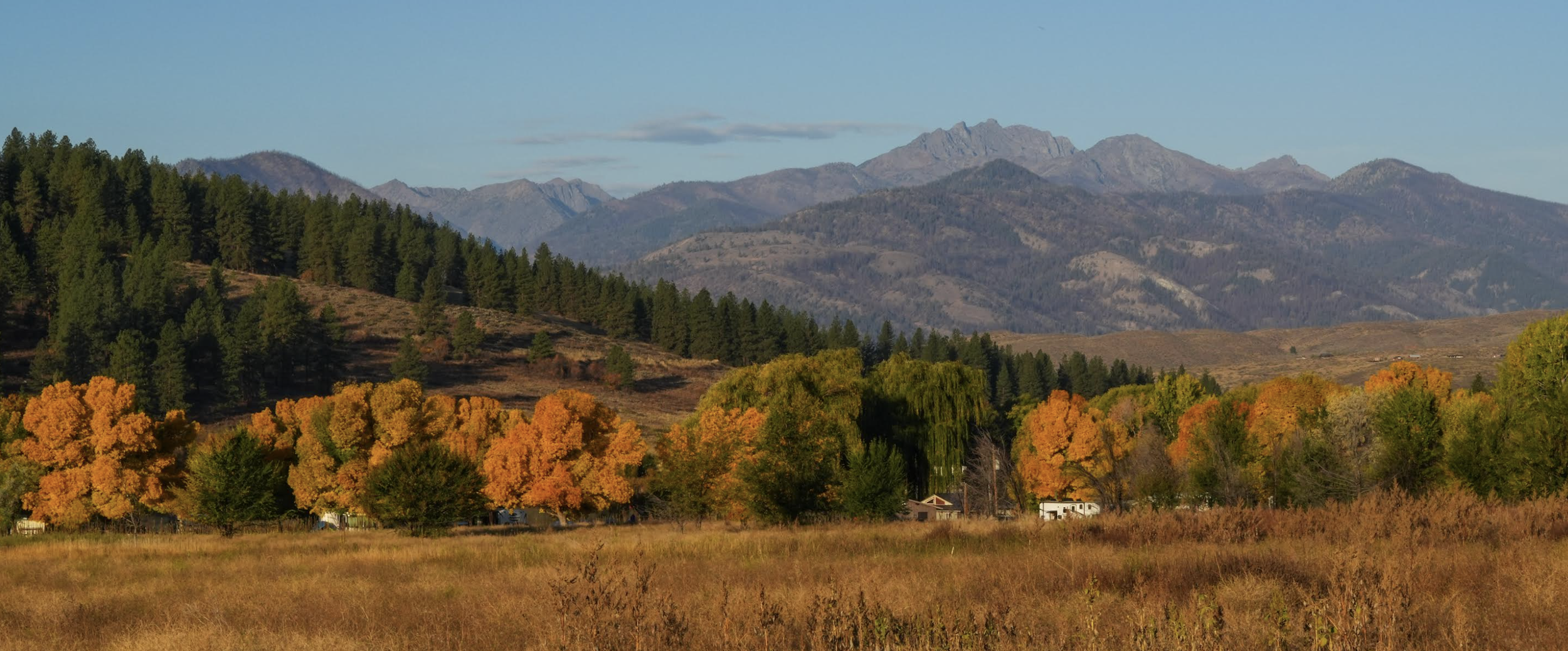 Scenic view of a mountain range with autumn-colored trees in the foreground, including green, orange, and yellow foliage, under a clear blue sky.