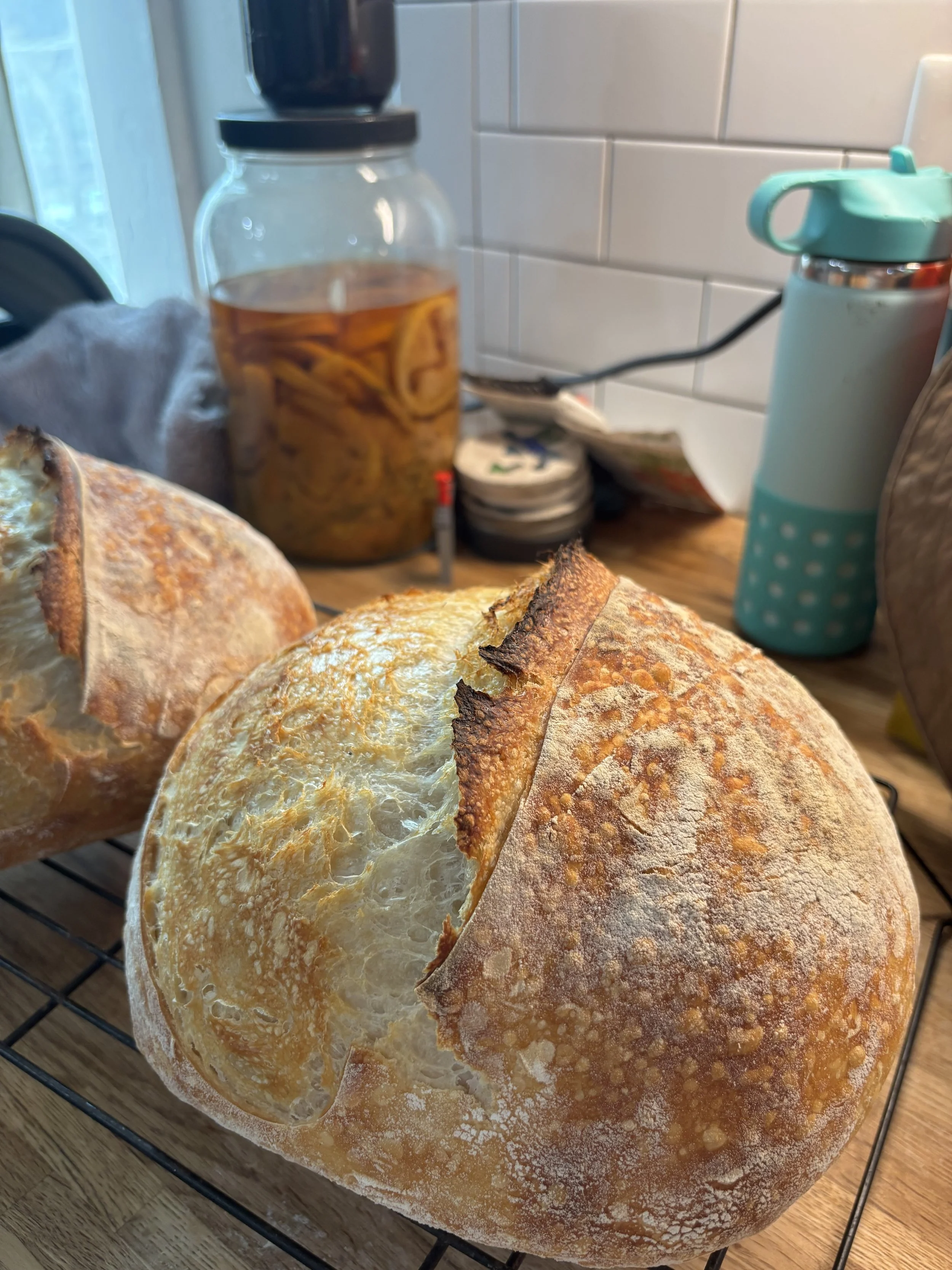 Sourdough Basics