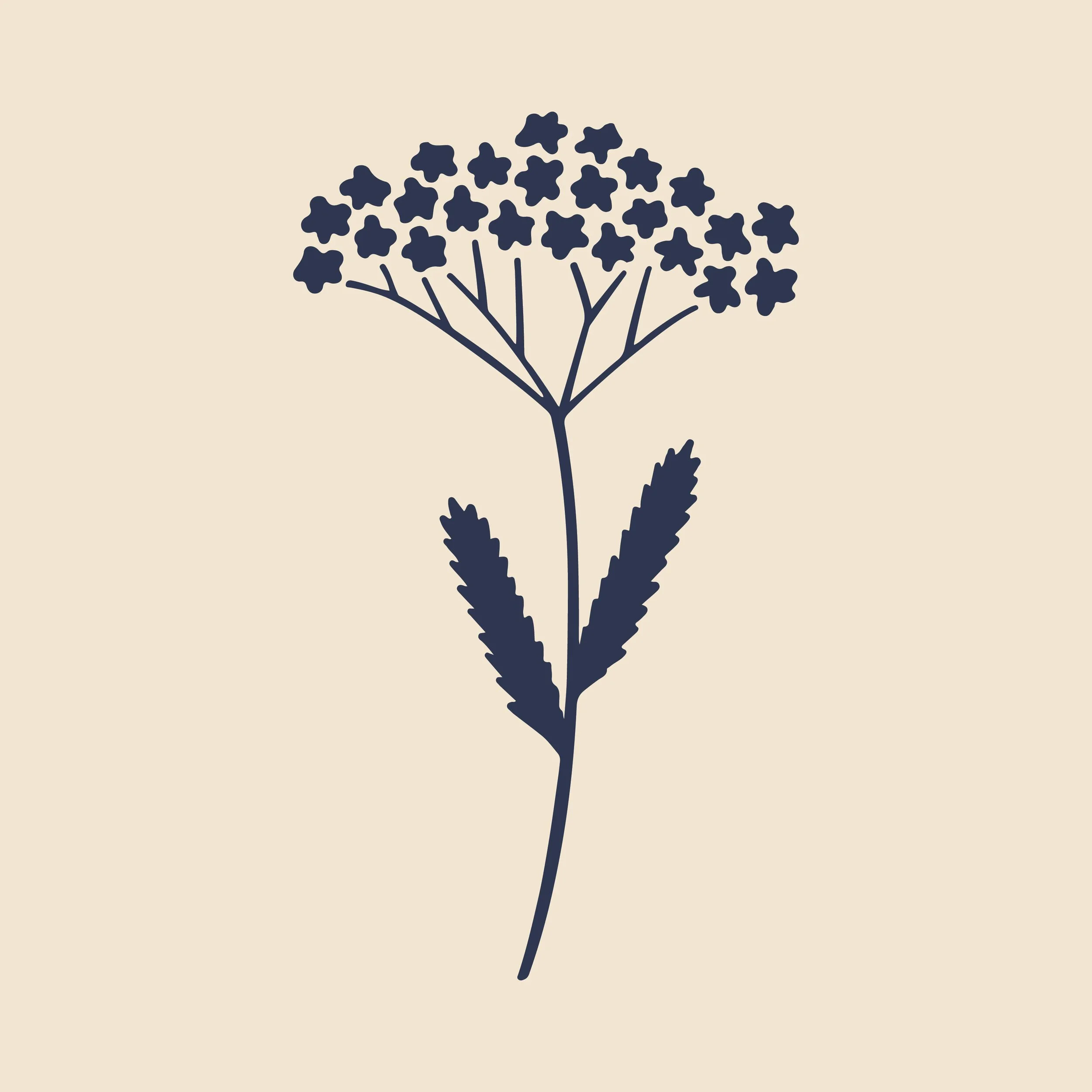 Marunde-icon-yarrow.jpg