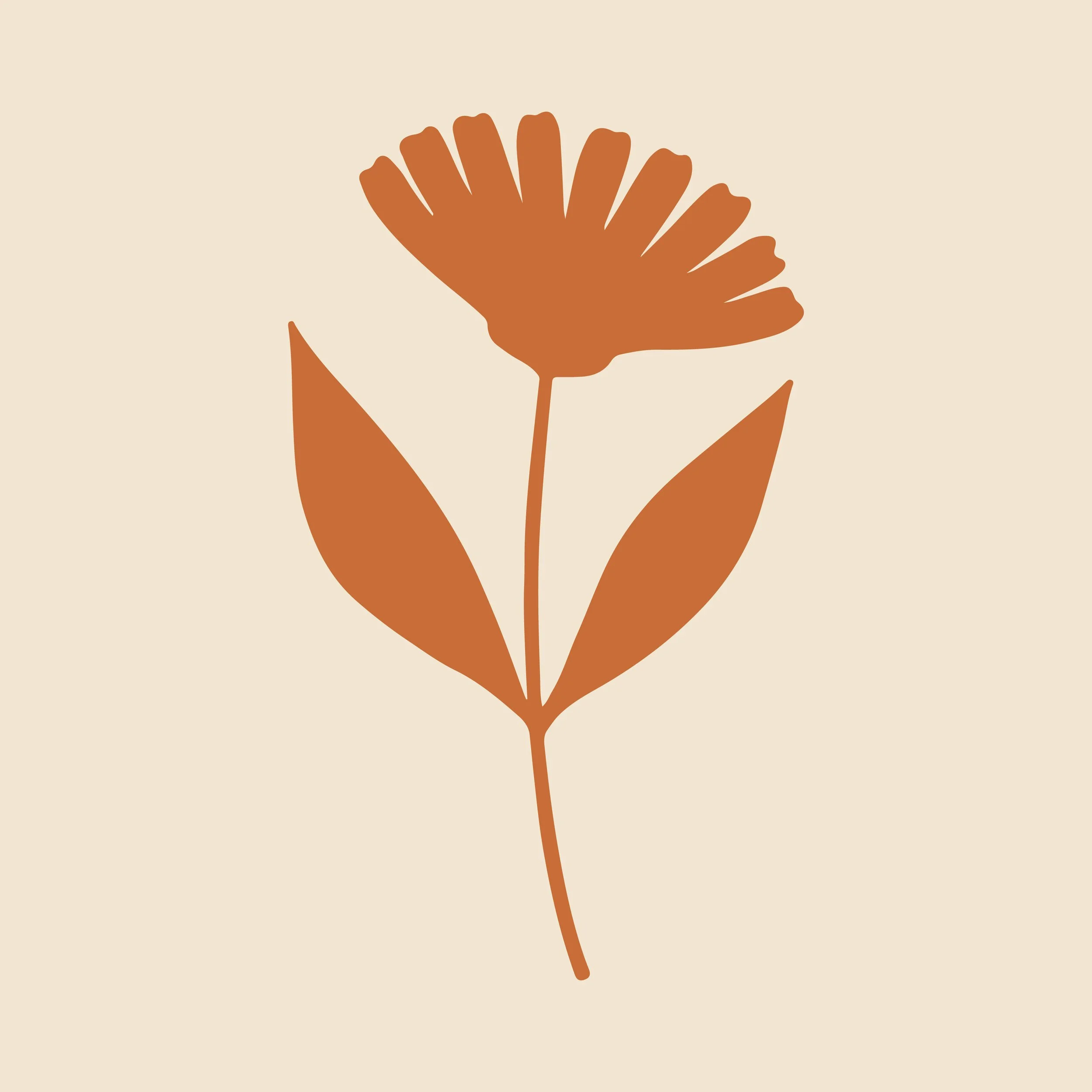 Marunde-icon-calendula.jpg