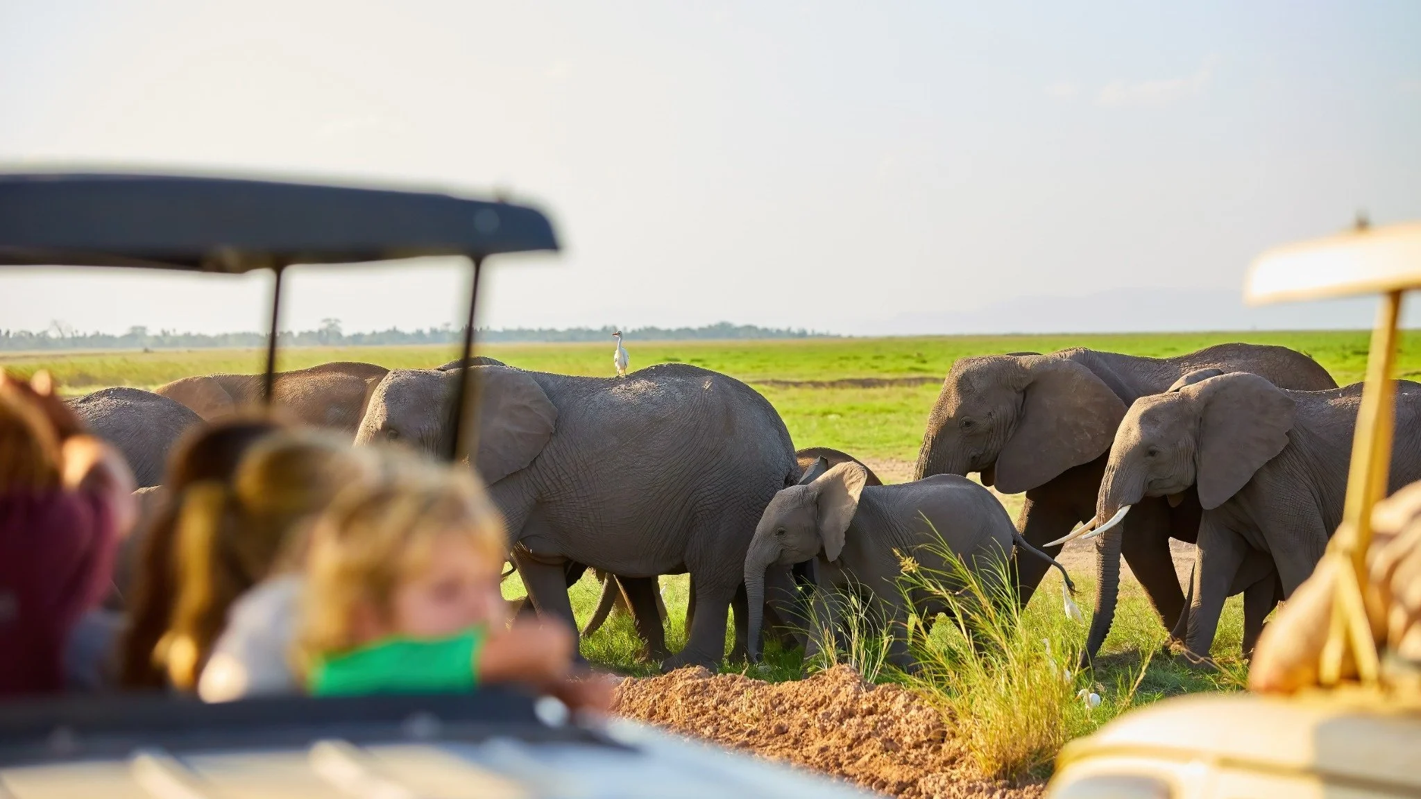 A herd of African elephants walking across Amboseli National Park in Kenya, with children watching from a safari vehicle, capturing the magic of a family safari experience by Orange Moon Travel.