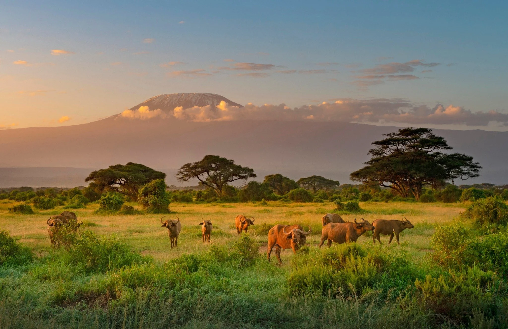 Safari organized by Orange Moon Travel and views in Kenya
