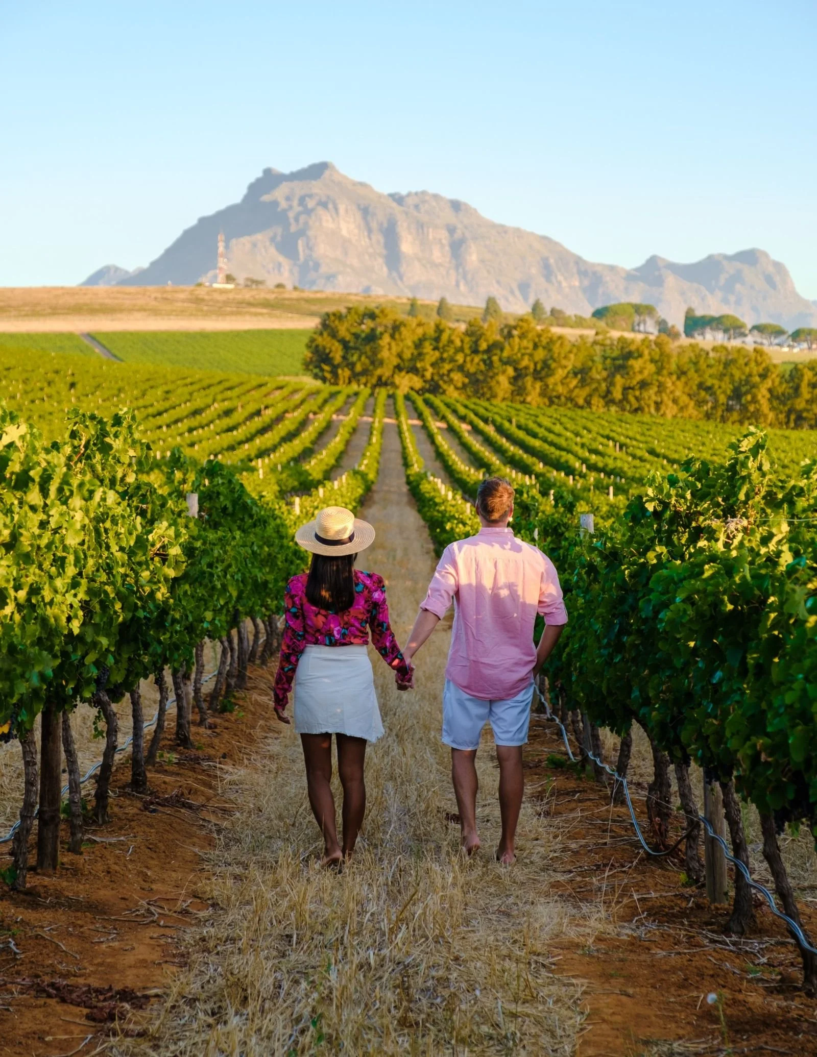 Cape Winelands