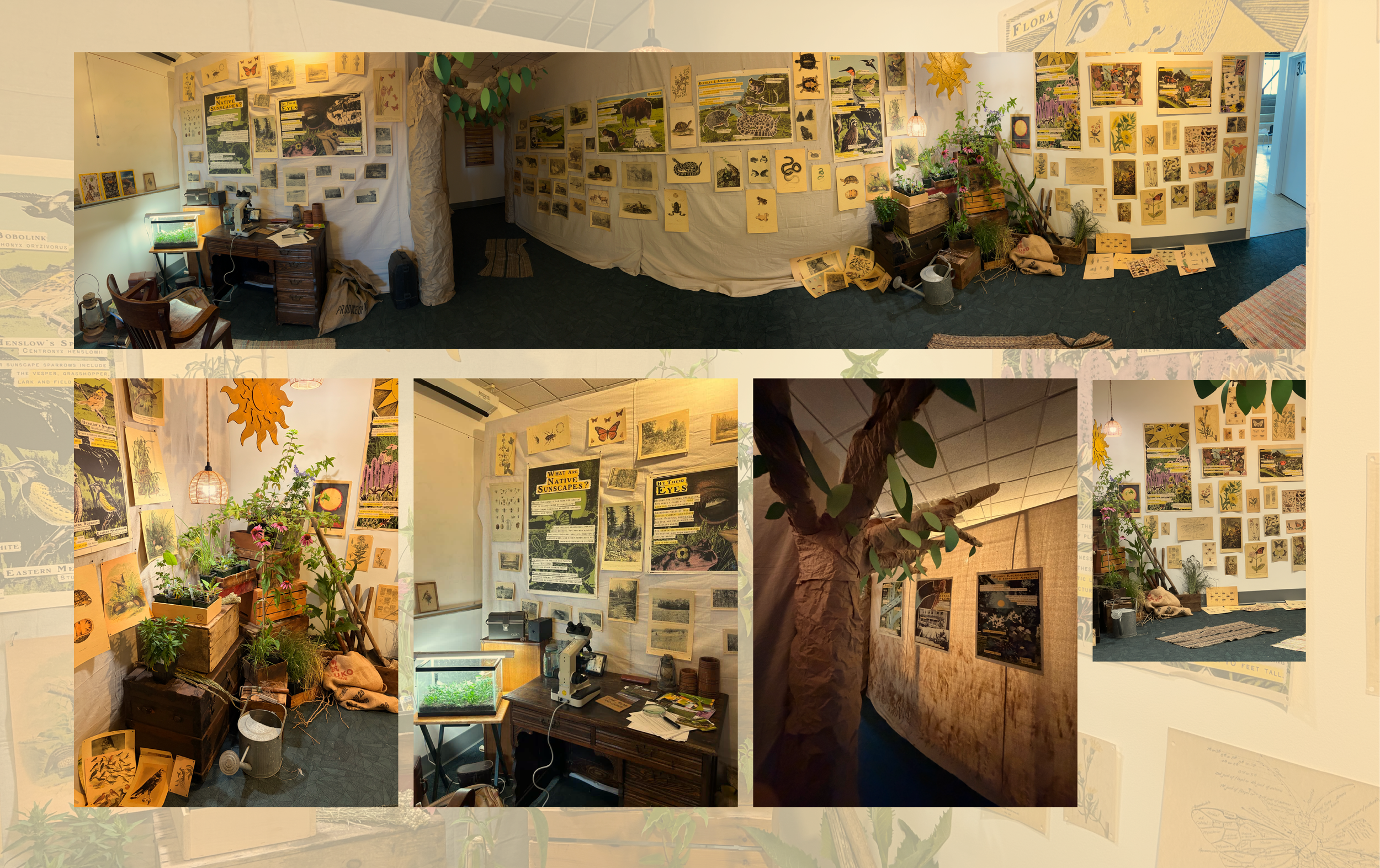 ExhibitPhotos_CuriosityRoom.png