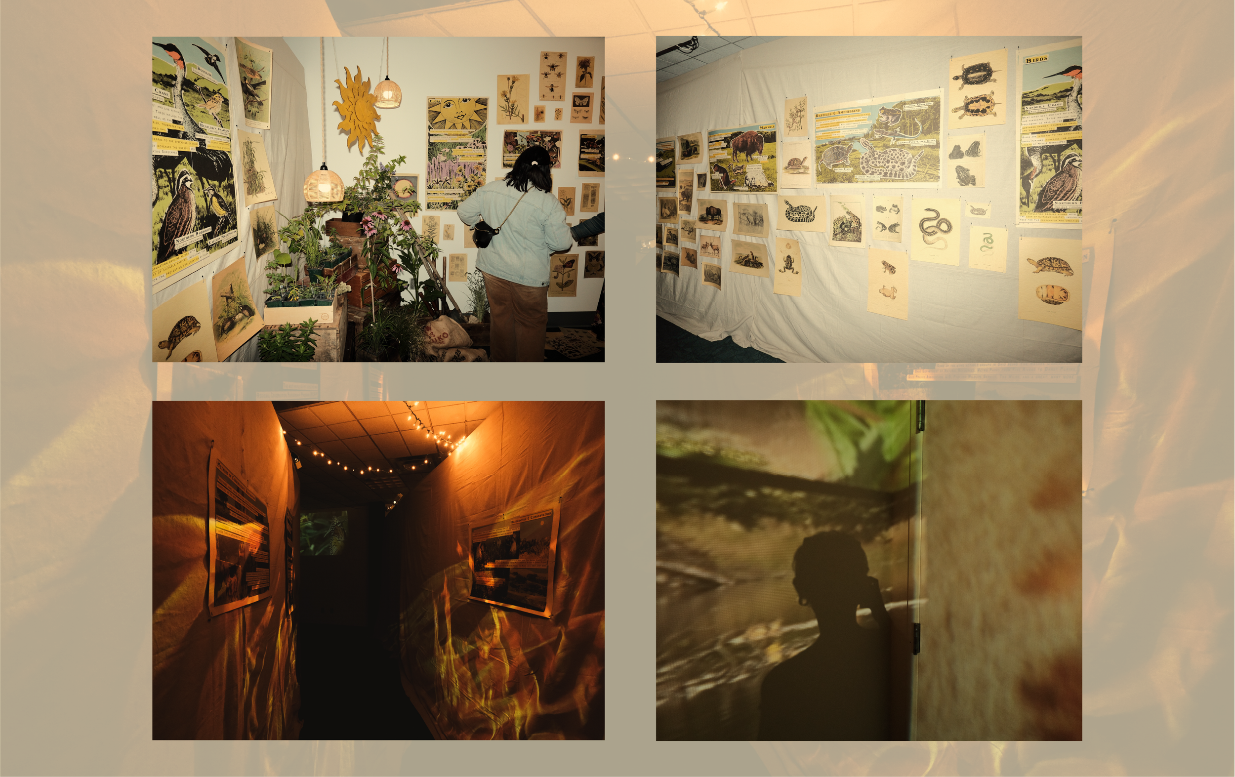 Photos by Claire Brown