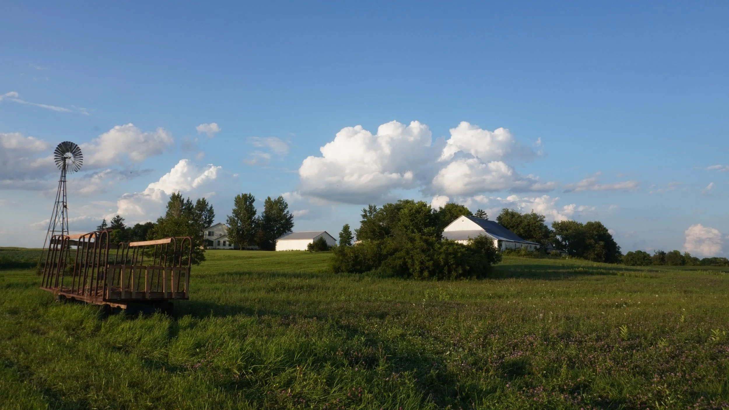 DSC00974.JPG