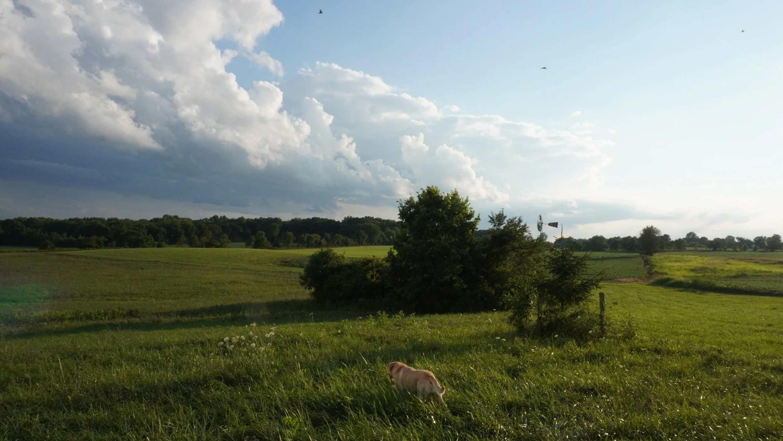 DSC00918.JPG