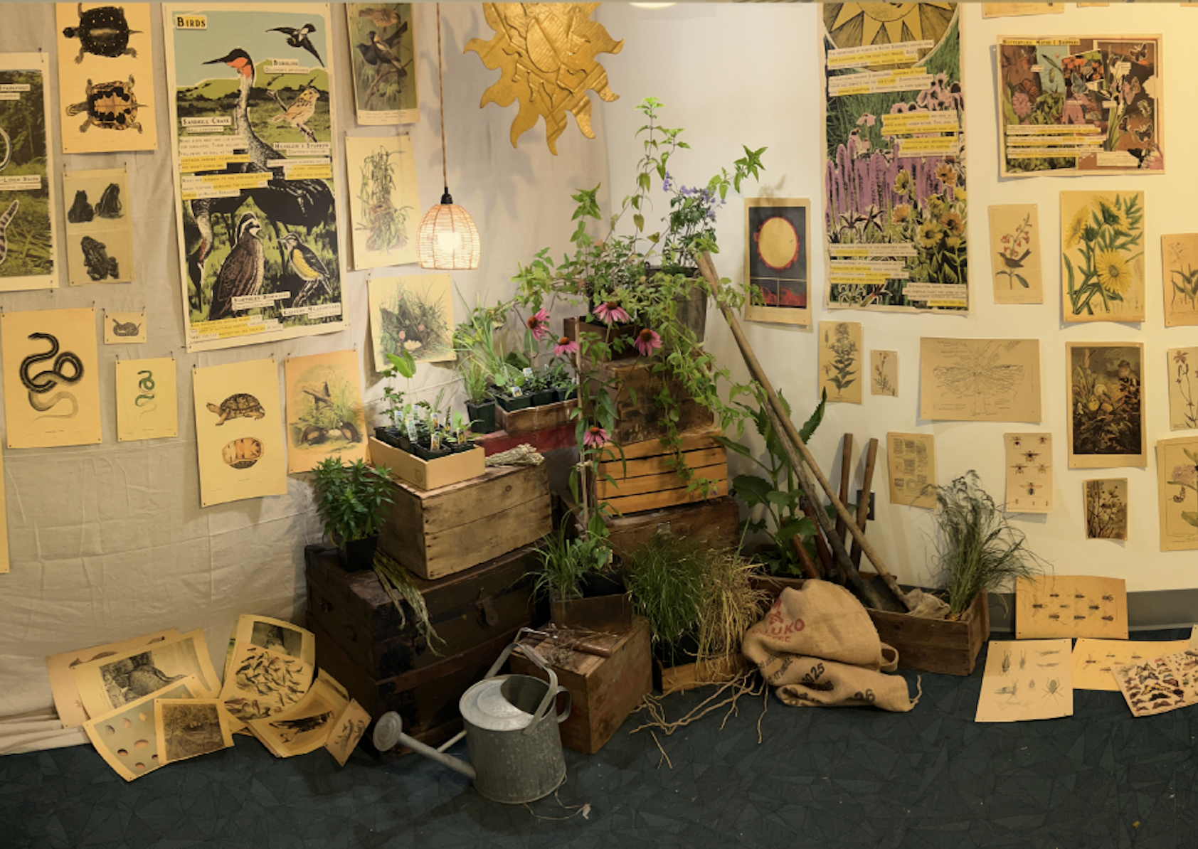 Exhibit