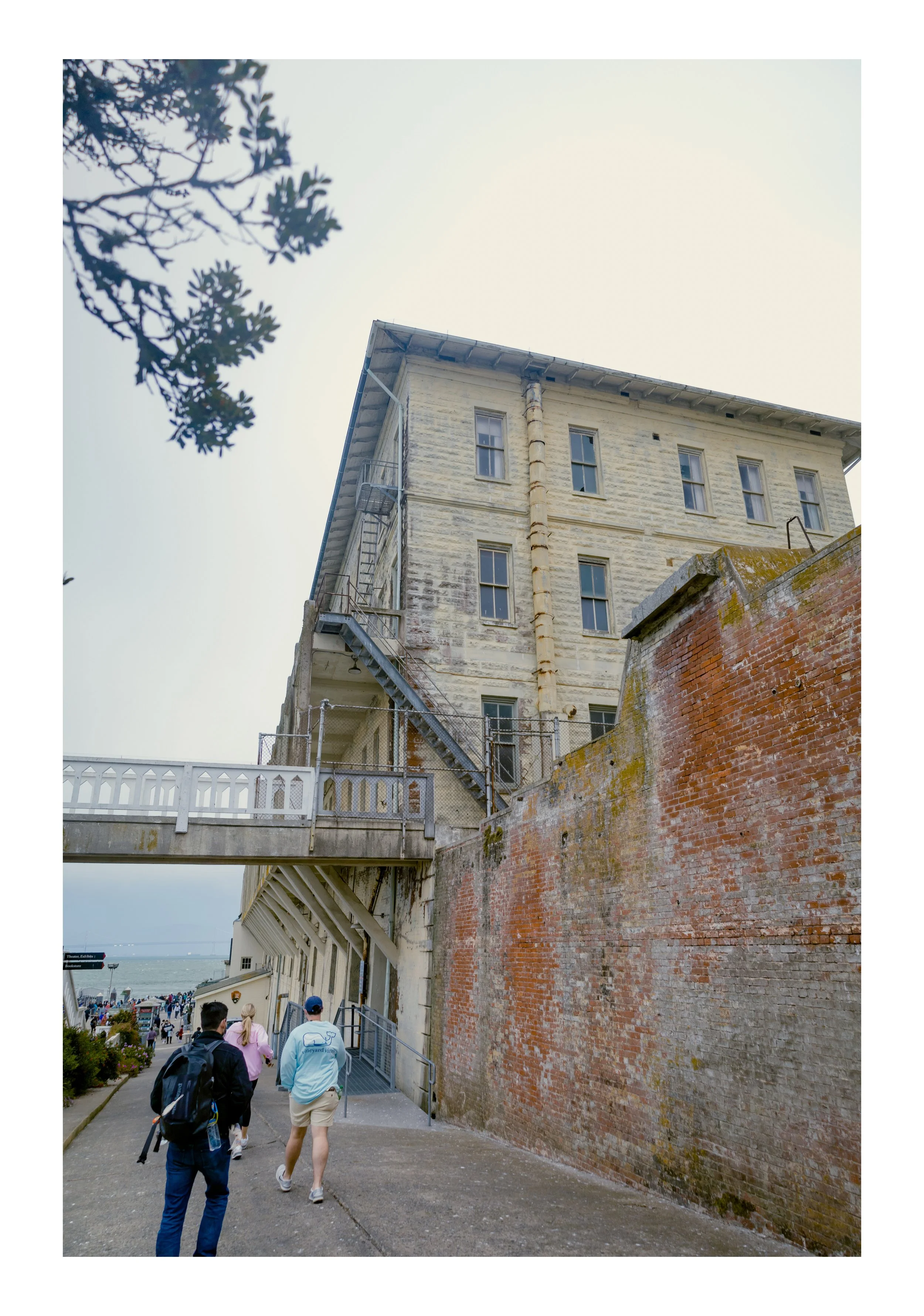 BUILDING 64:RESIDENCE. APARTMENTS.jpg