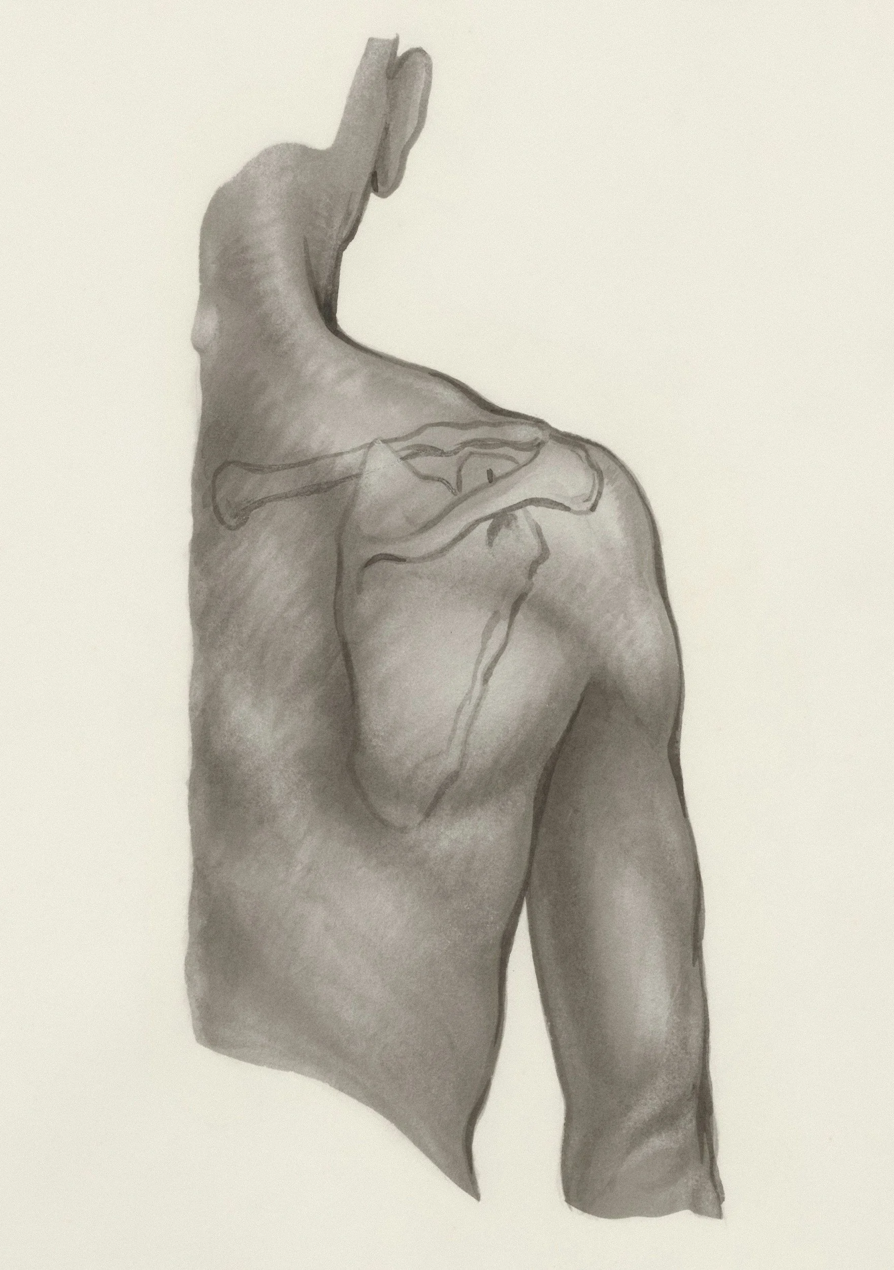 Shoulder Pain That Won’t Go Away? How Acupuncture Can Help