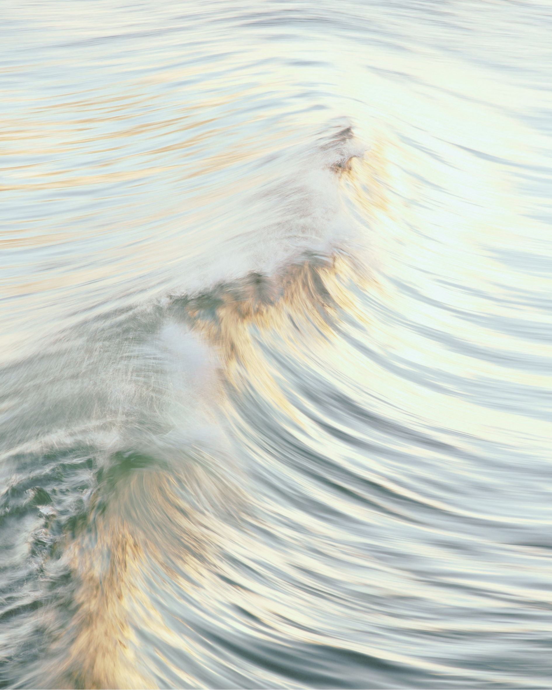 Residents Stay Engaged